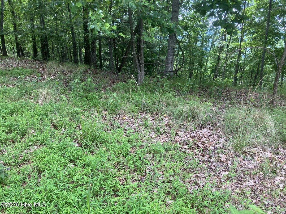 Lot 51 51 Buck Ridge Drive Property Photo 8