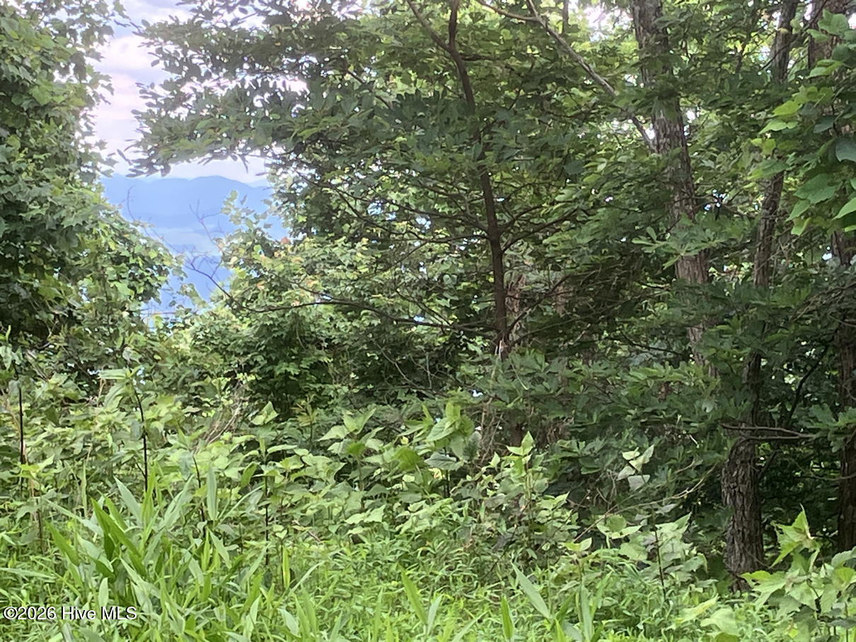 Lot 51 51 Buck Ridge Drive Property Photo 9