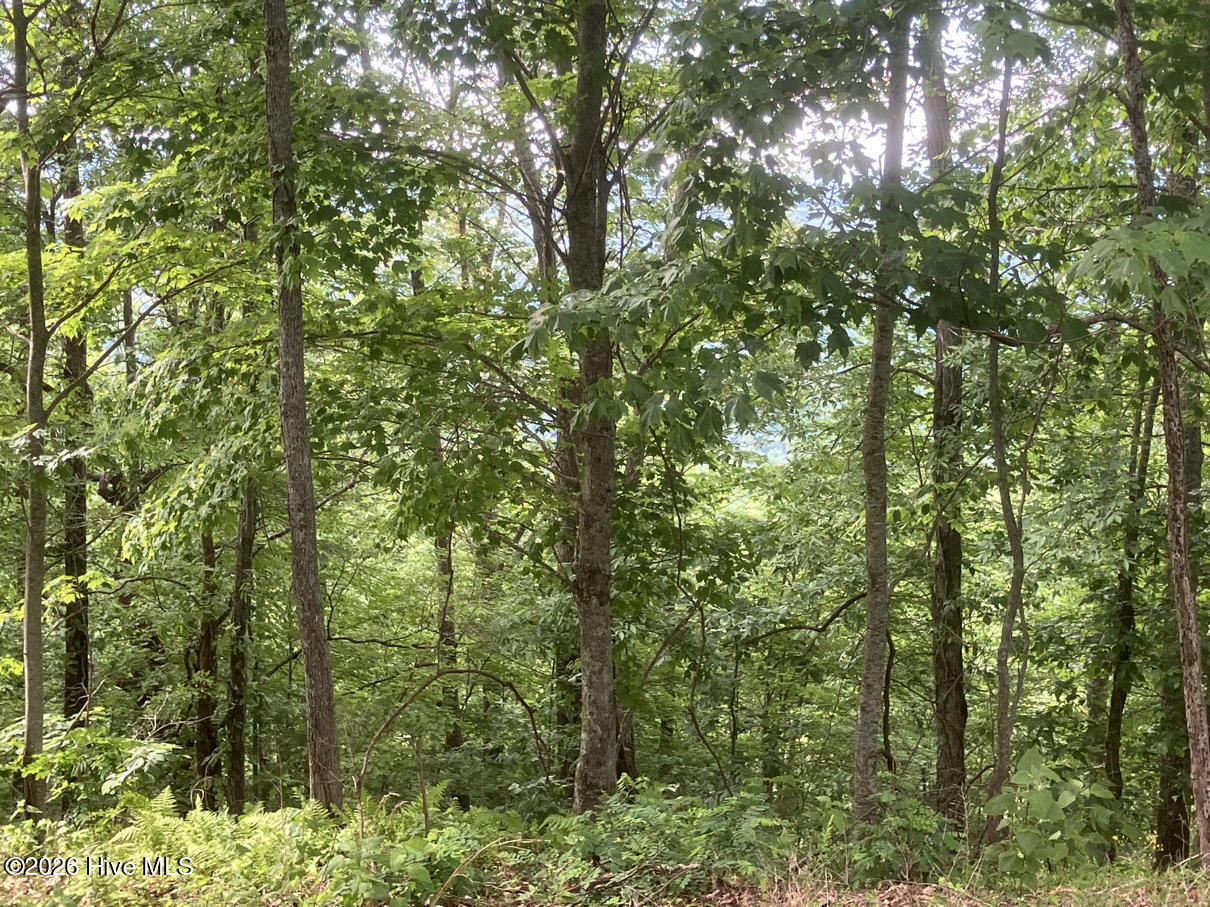 Lot 51 51 Buck Ridge Drive Property Photo 10