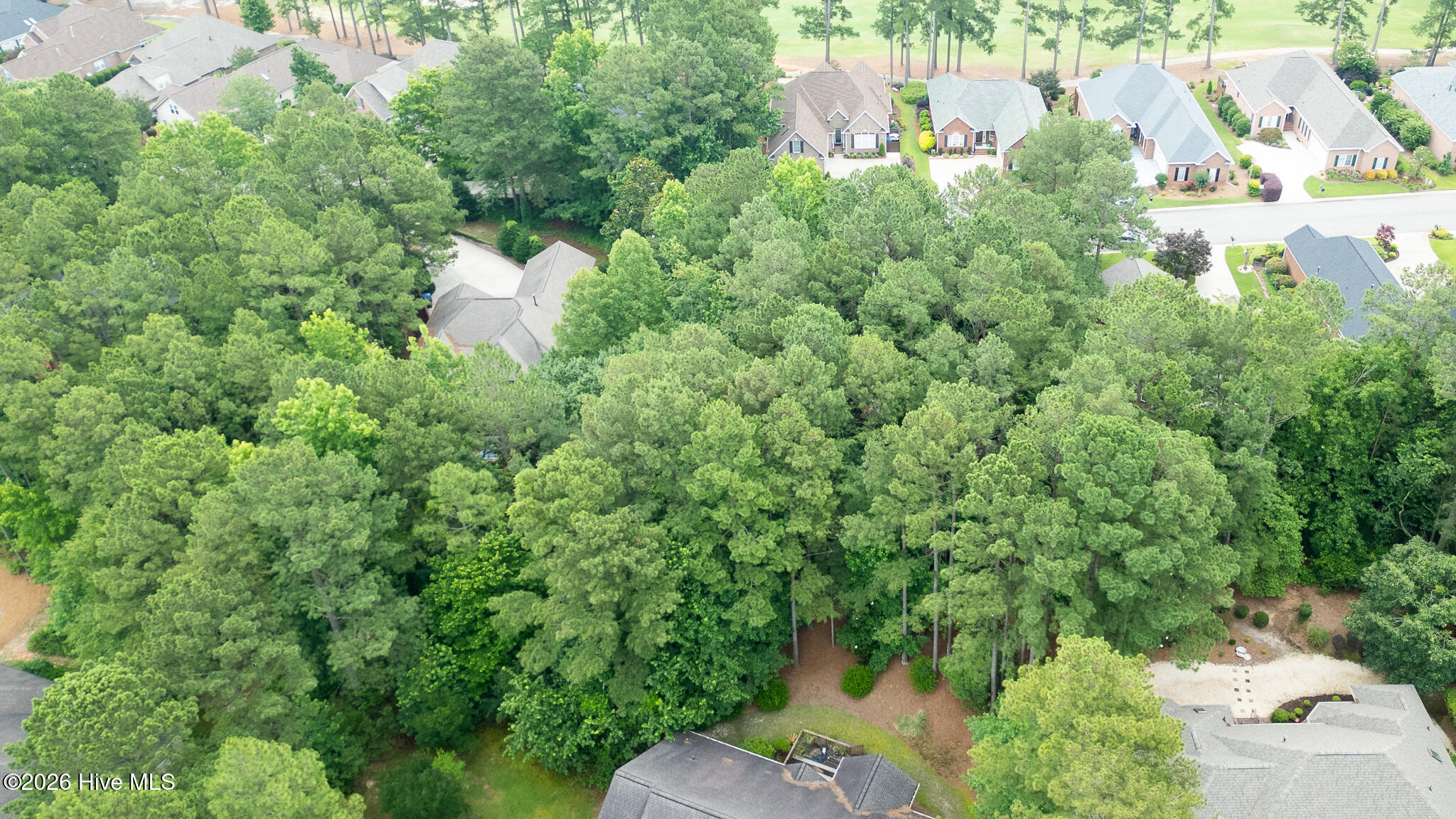 341 Huntington Court Property Photo 5