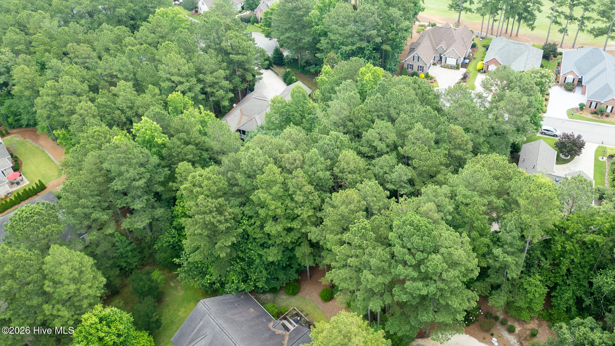 341 Huntington Court Property Photo 6