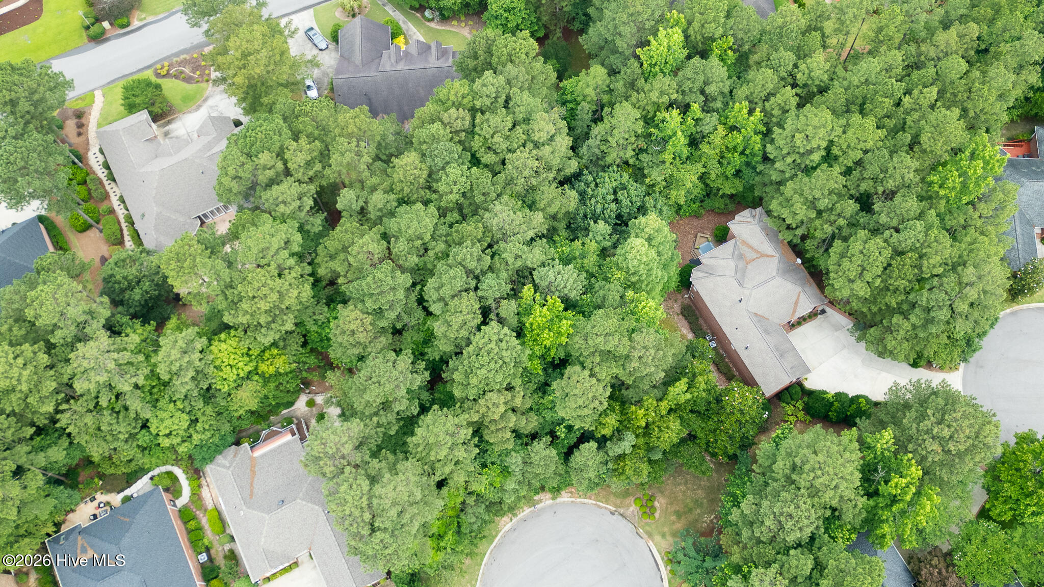 341 Huntington Court Property Photo 8