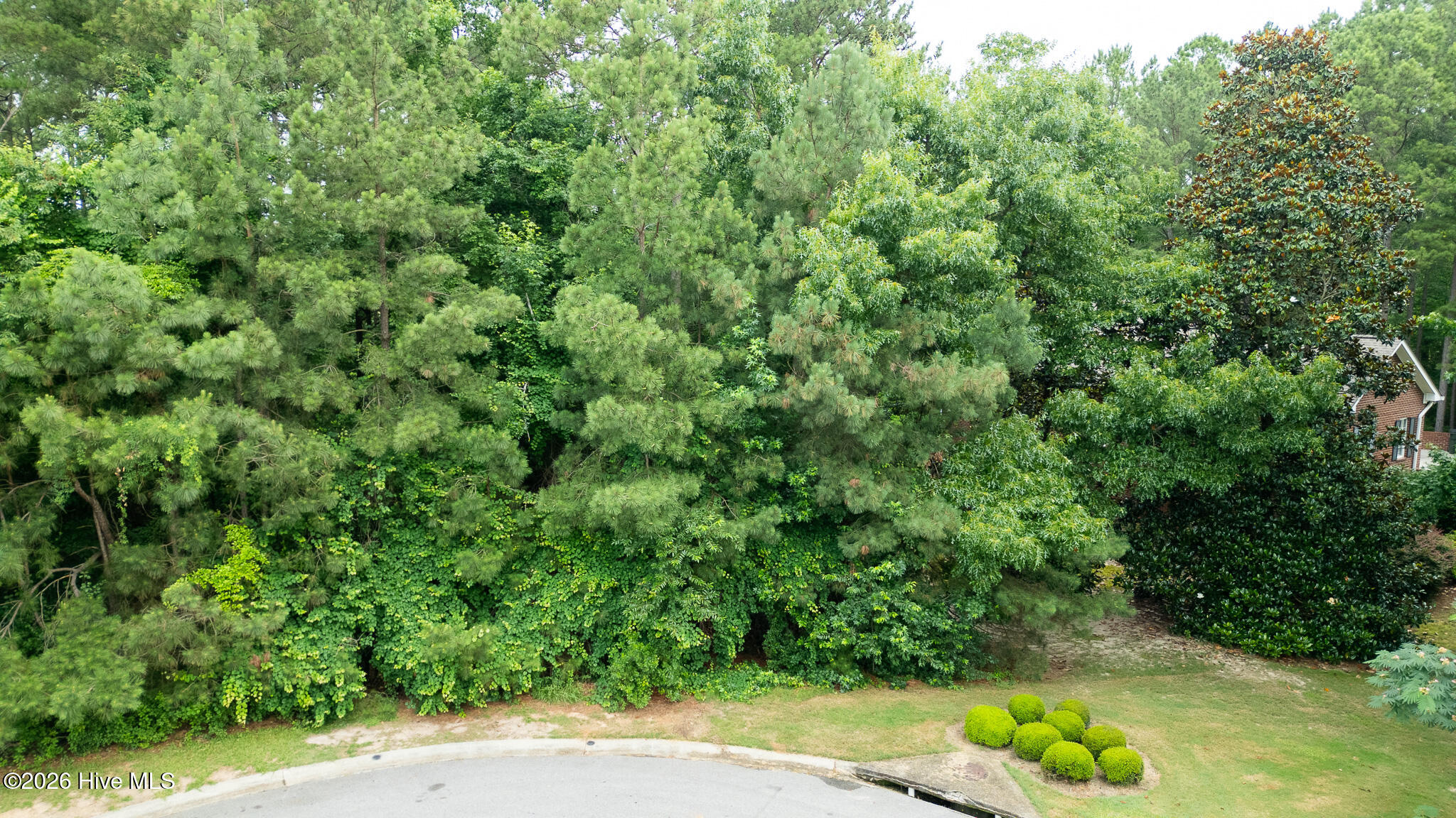 341 Huntington Court Property Photo 15