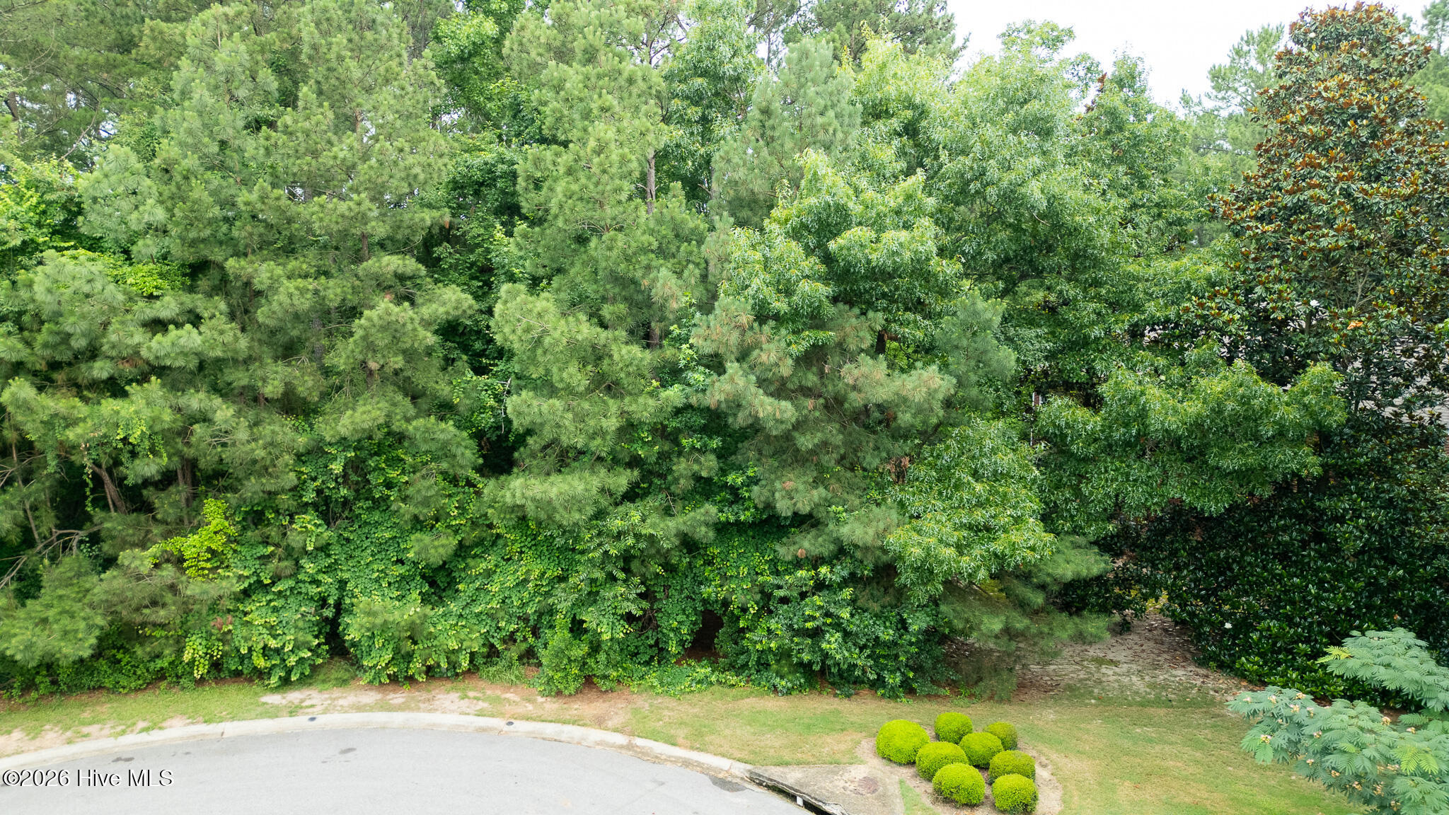 341 Huntington Court Property Photo 16