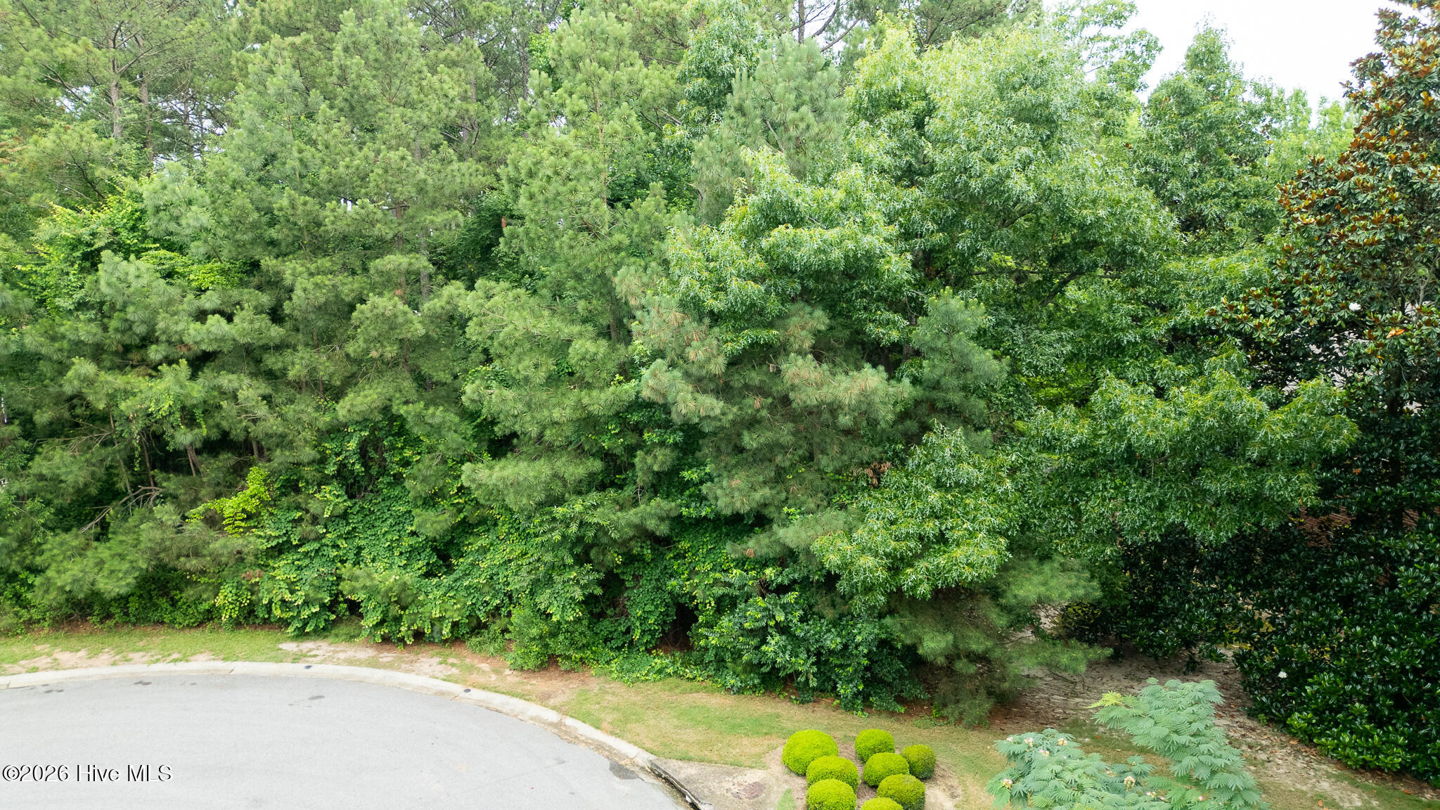 341 Huntington Court Property Photo 17