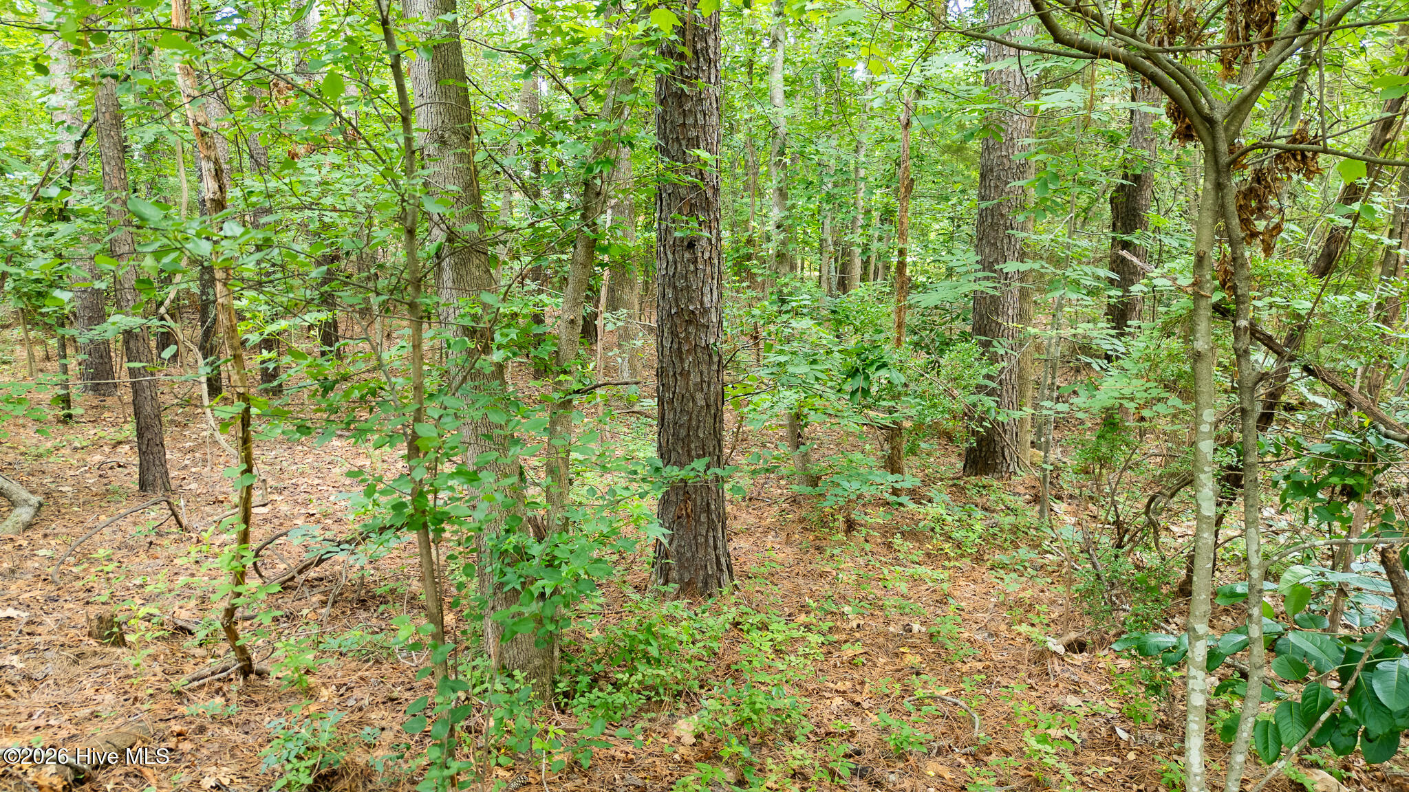341 Huntington Court Property Photo 18
