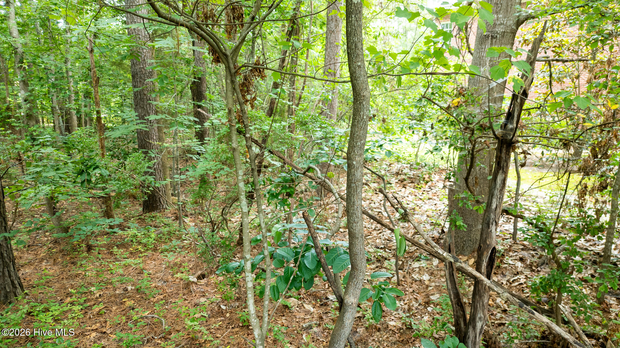 341 Huntington Court Property Photo 19