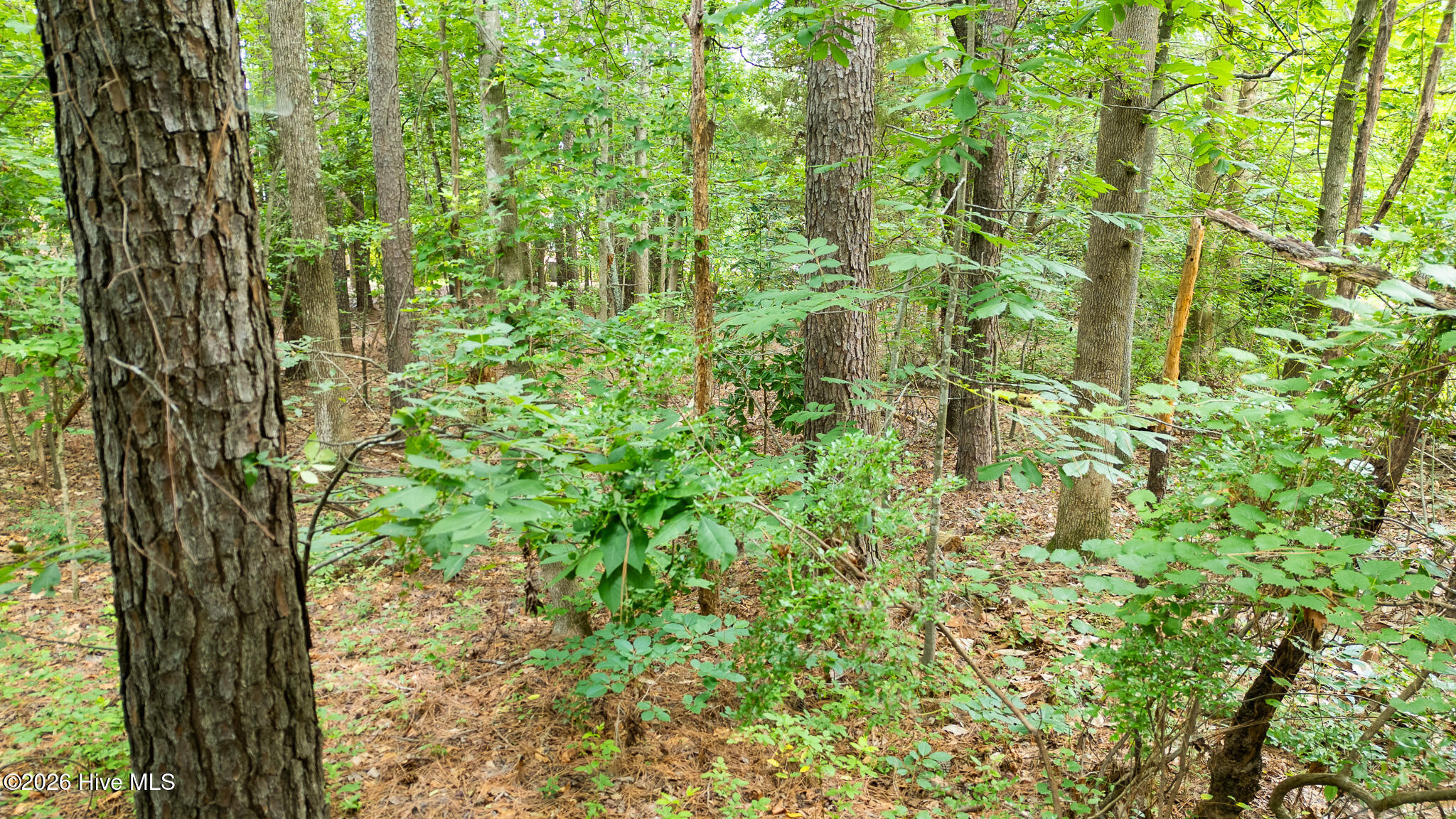 341 Huntington Court Property Photo 20