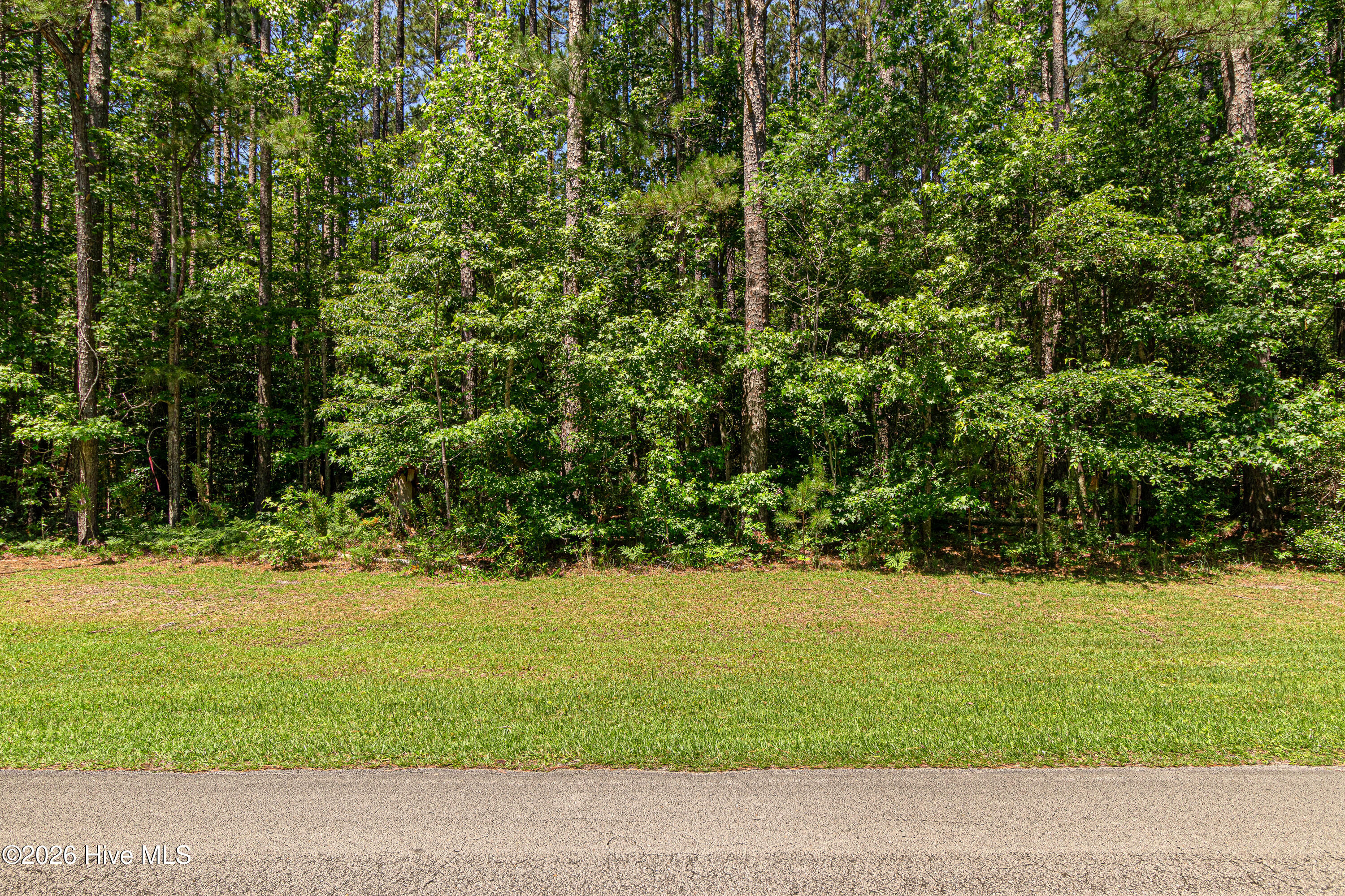 313 Antebellum Drive Property Photo 3