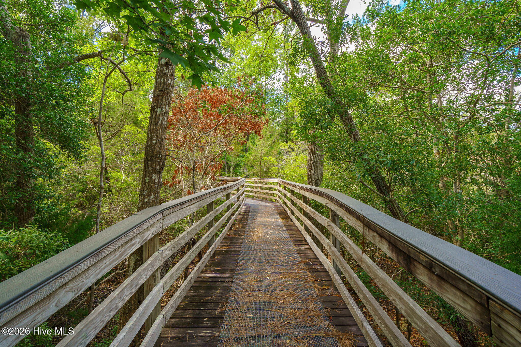 311 Antebellum Drive Property Photo 25