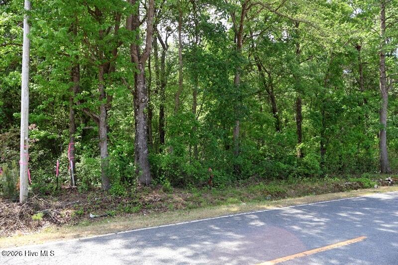 Tbd N Duffie Road Property Photo 5