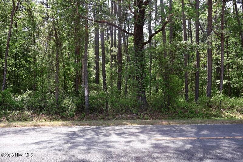 Tbd N Duffie Road Property Photo 8