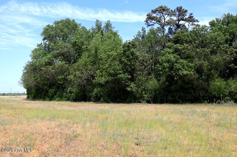 Tbd N Duffie Road Property Photo 13