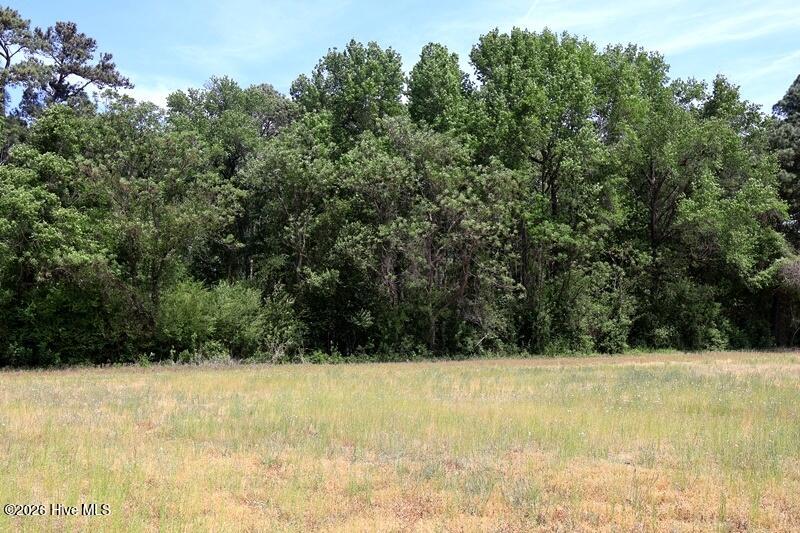 Tbd N Duffie Road Property Photo 15