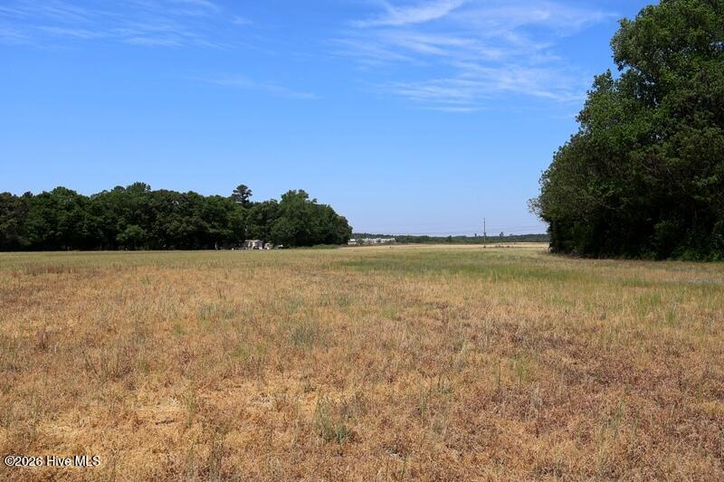 Tbd N Duffie Road Property Photo 19