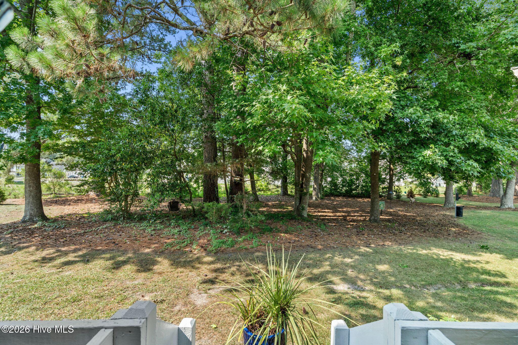 3970 Echo Farms Boulevard Property Photo 53