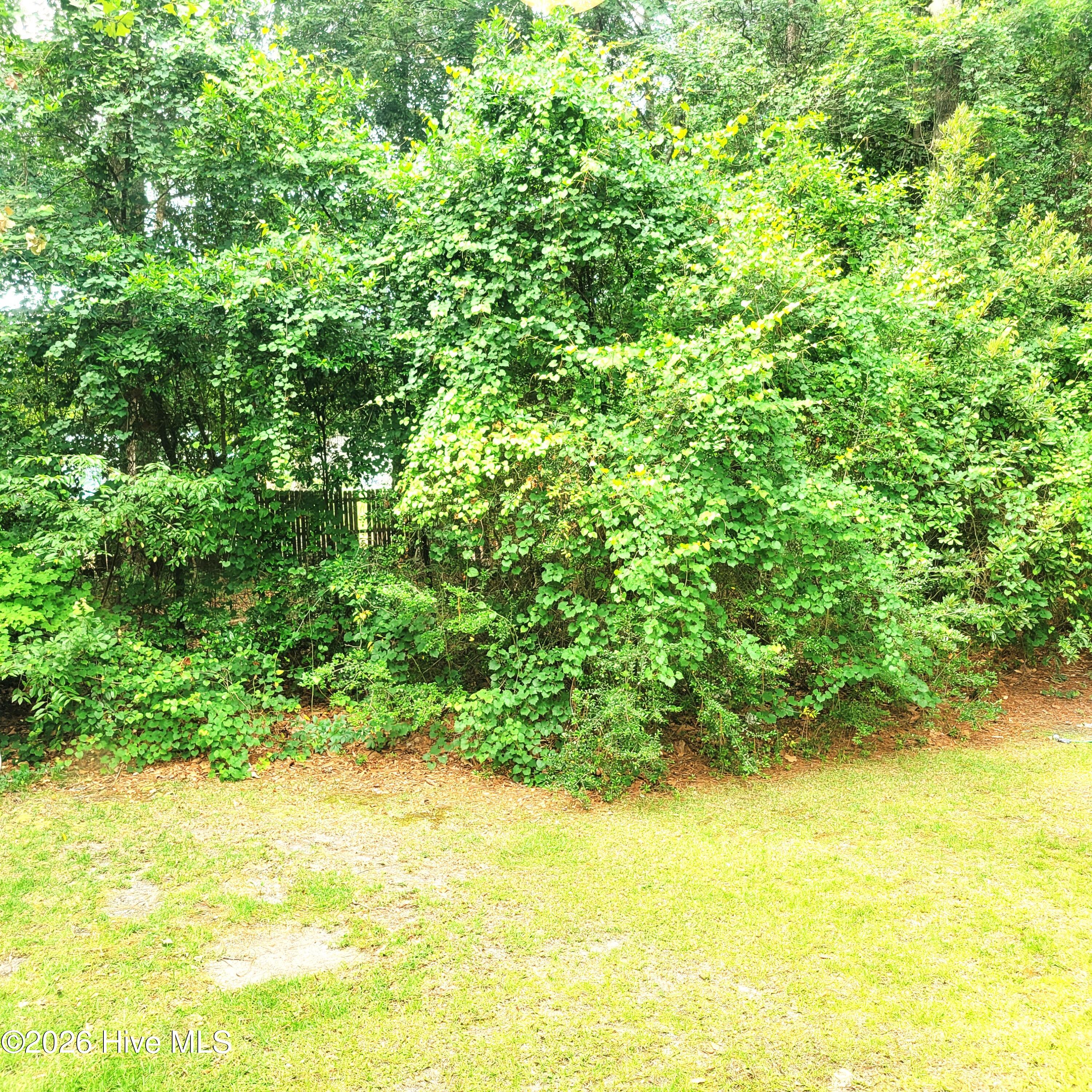 607 Longleaf Road A Property Photo 23