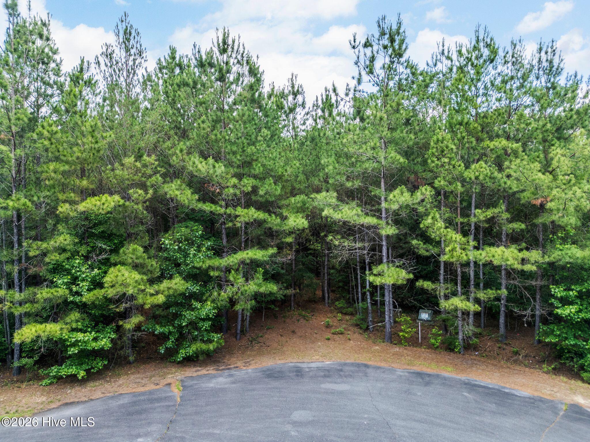 129 21 Dodge Lane Property Photo 13