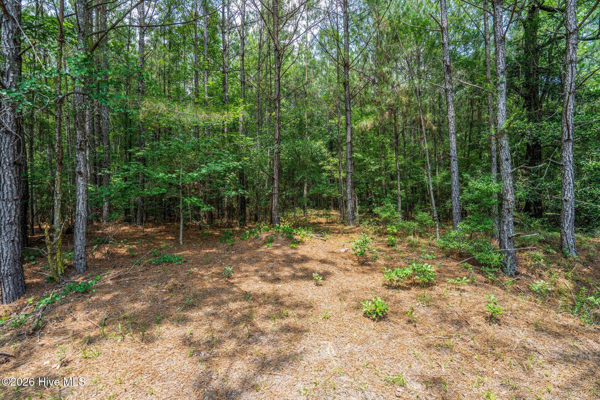 129 21 Dodge Lane Property Photo 14