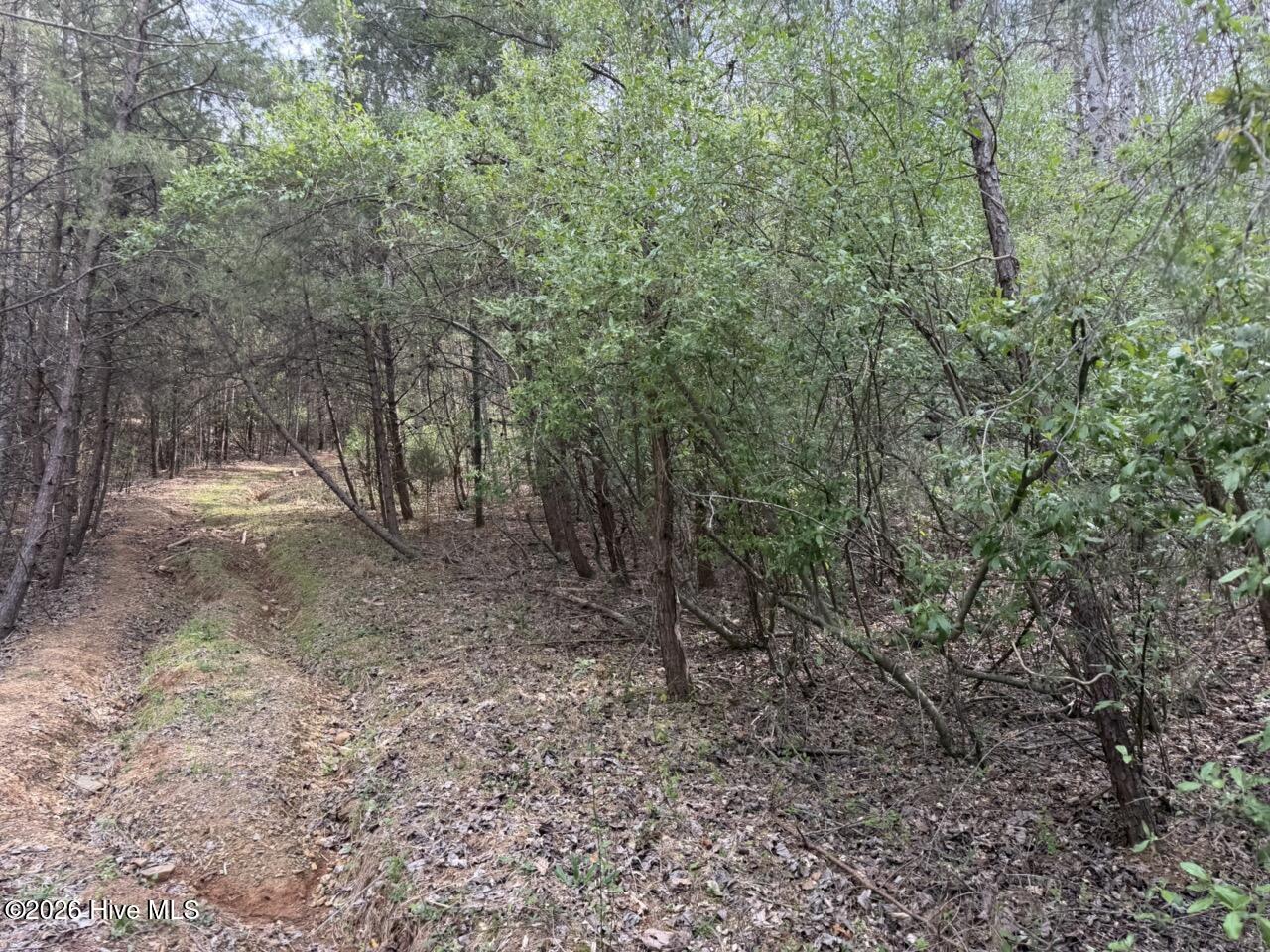 0000 Ogreeta Road Property Photo 3