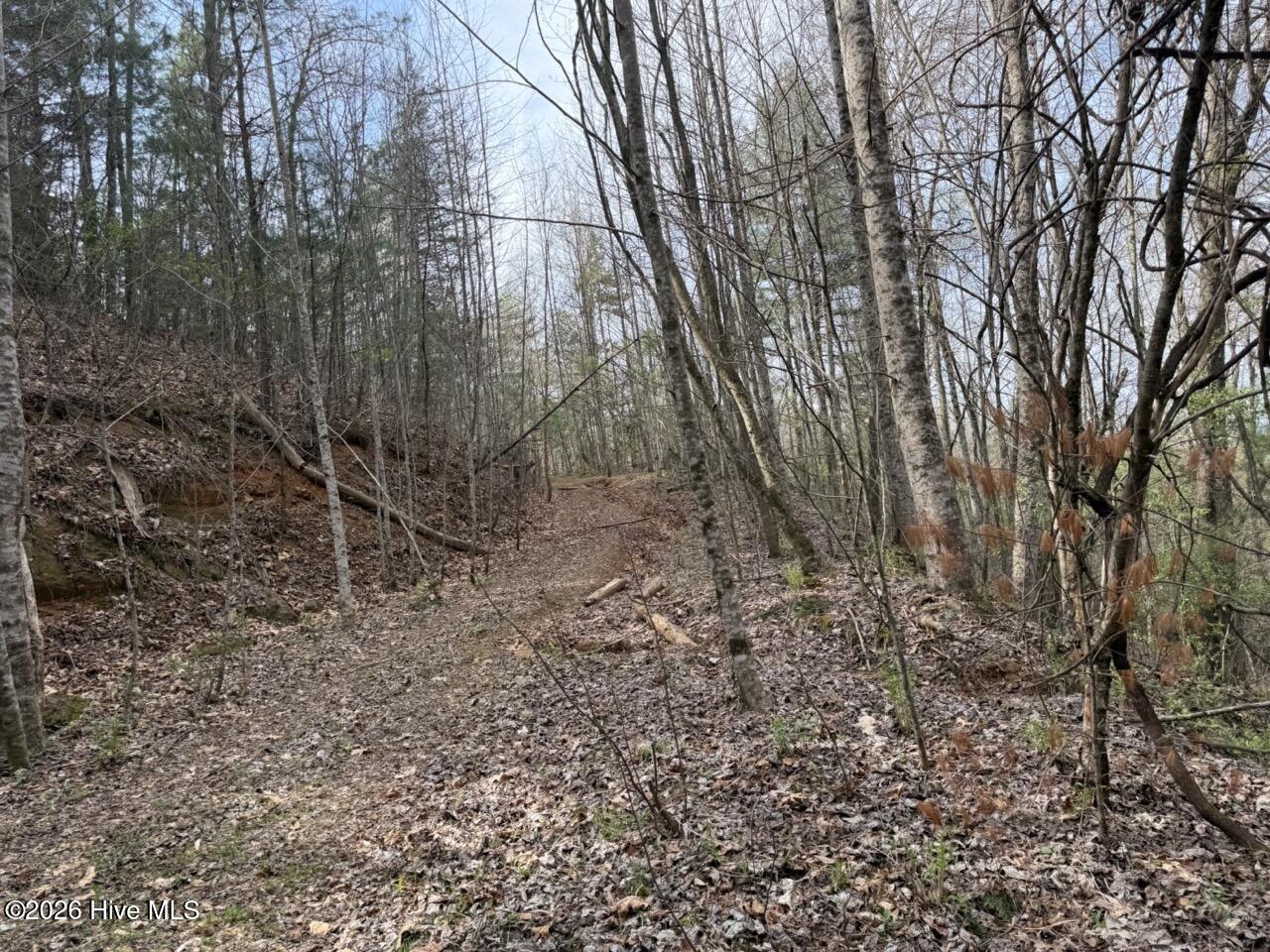0000 Ogreeta Road Property Photo 8