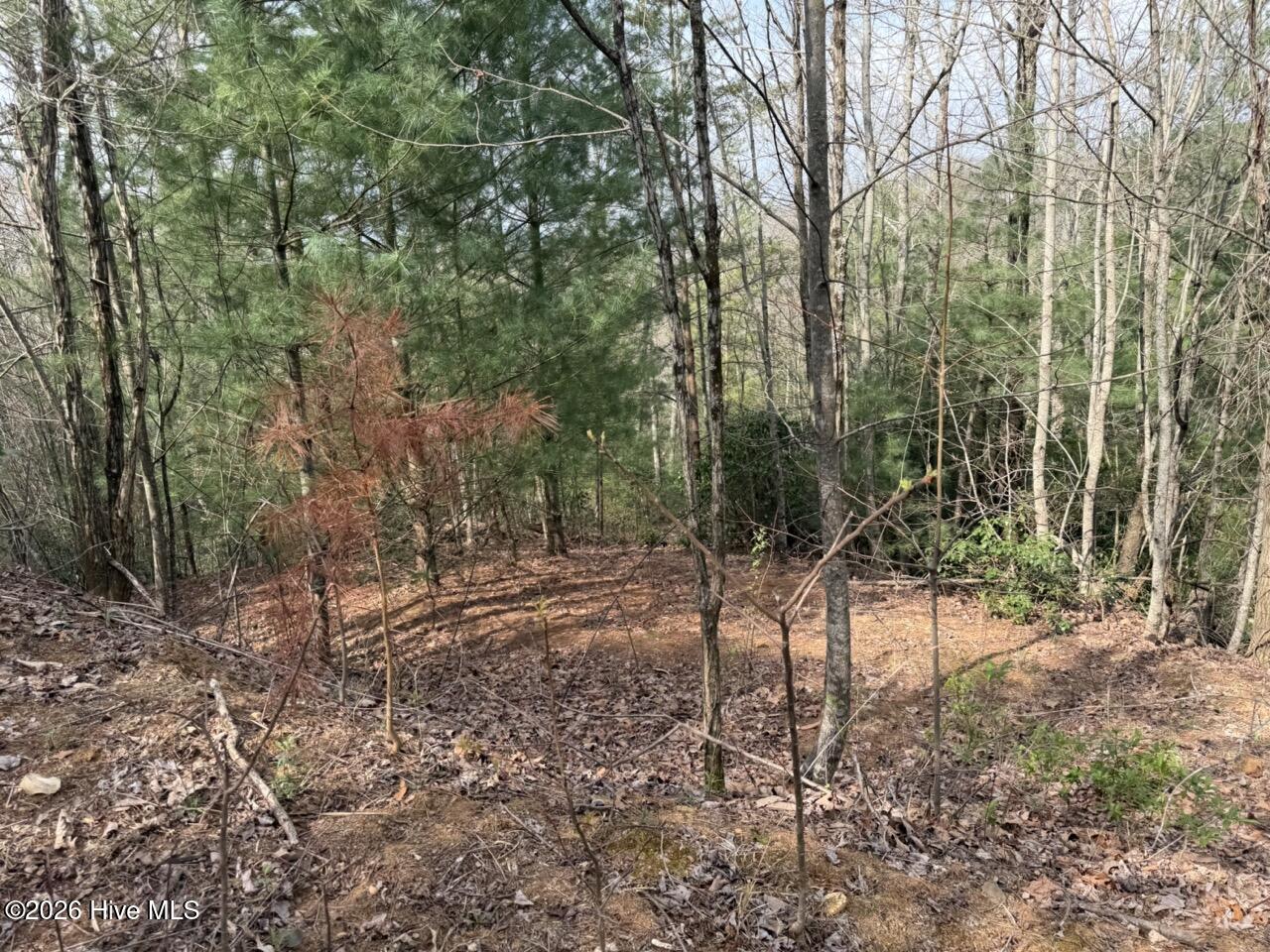 0000 Ogreeta Road Property Photo 10