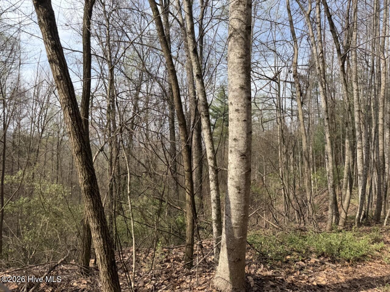 0000 Ogreeta Road Property Photo 19