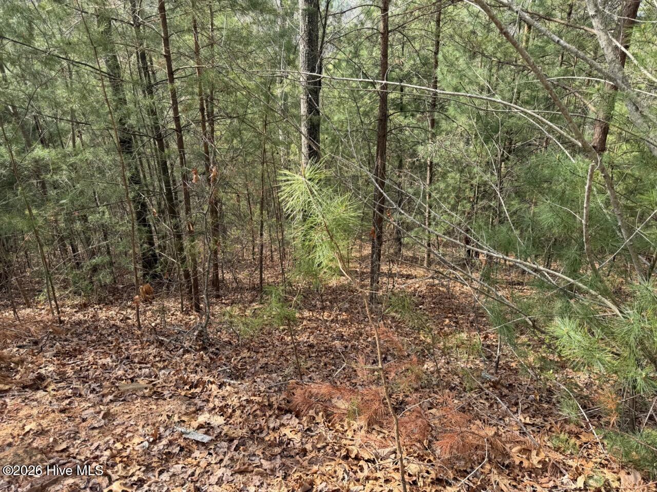 0000 Ogreeta Road Property Photo 25