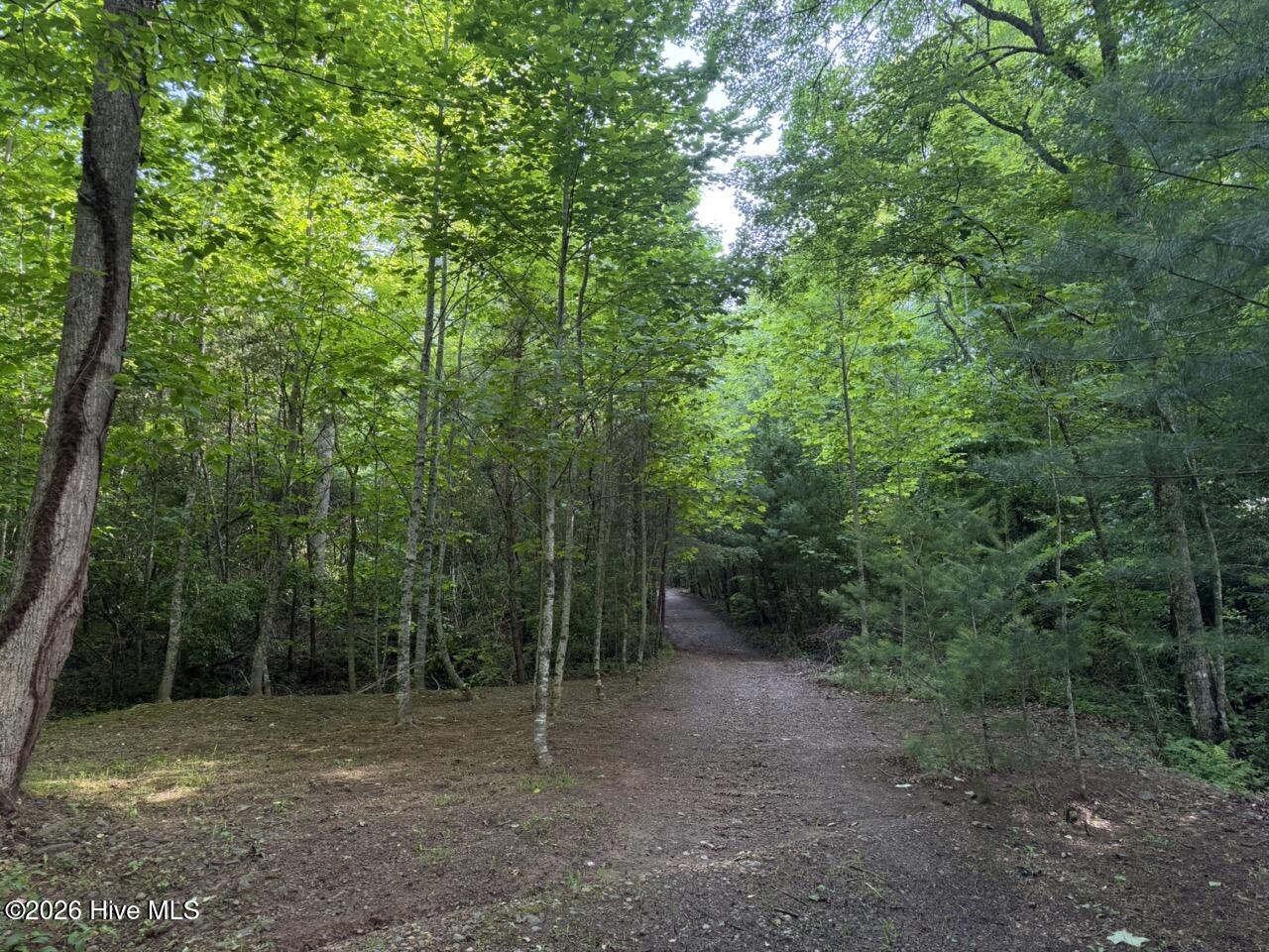 0000 Ogreeta Road Property Photo 33