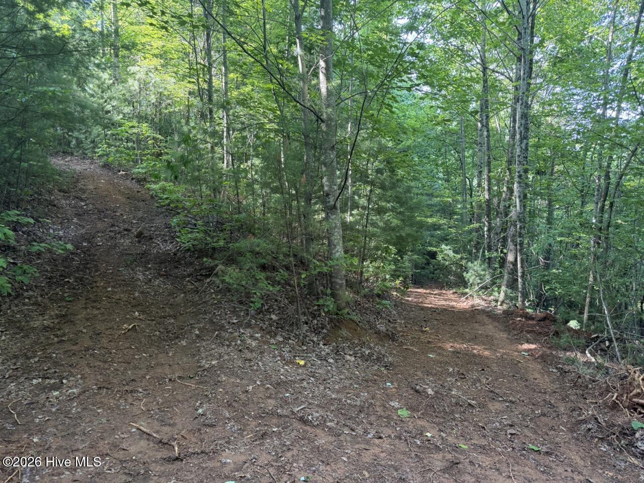 0000 Ogreeta Road Property Photo 38