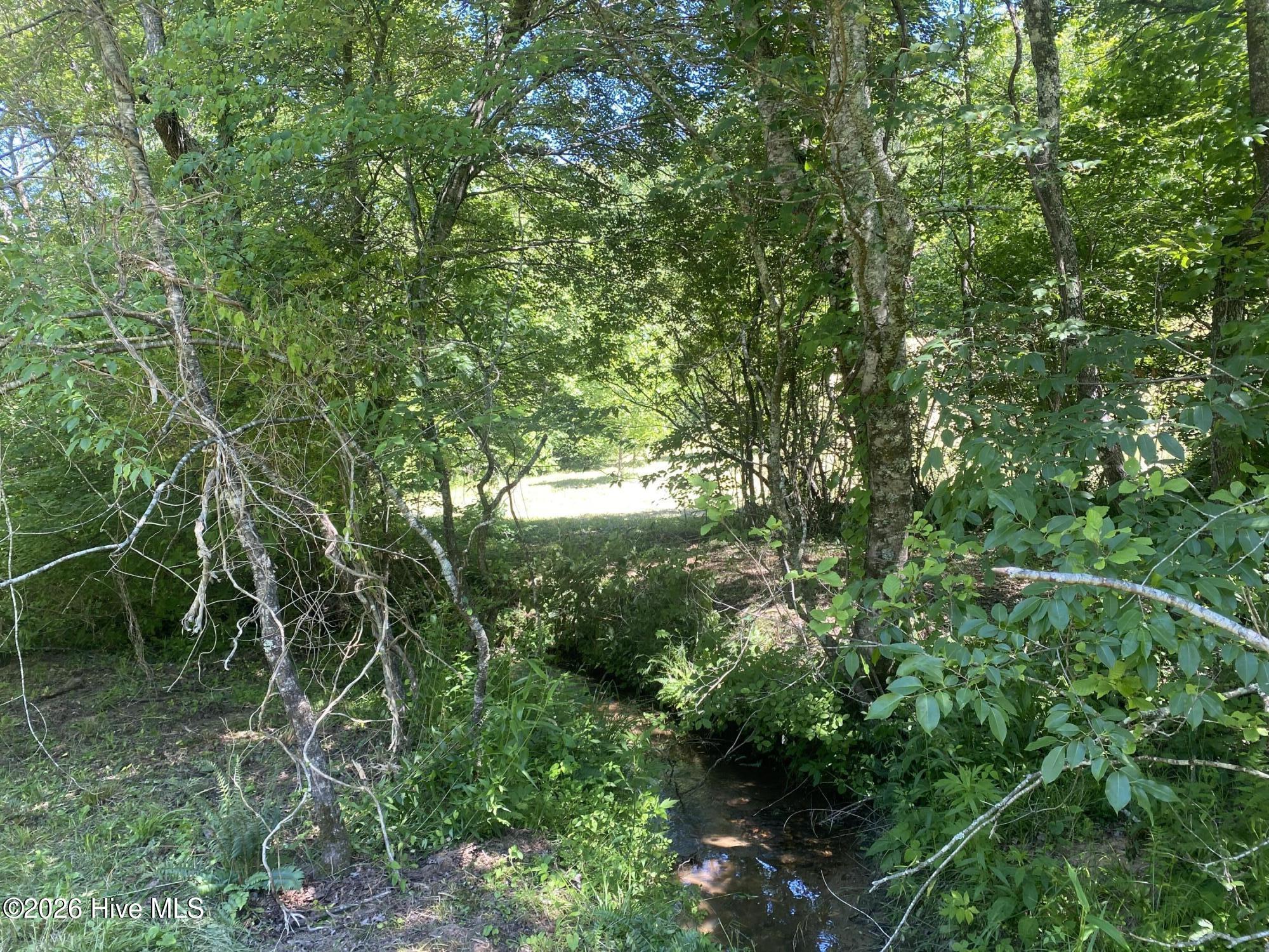 Lot 7 Running Bear Road Property Photo 2