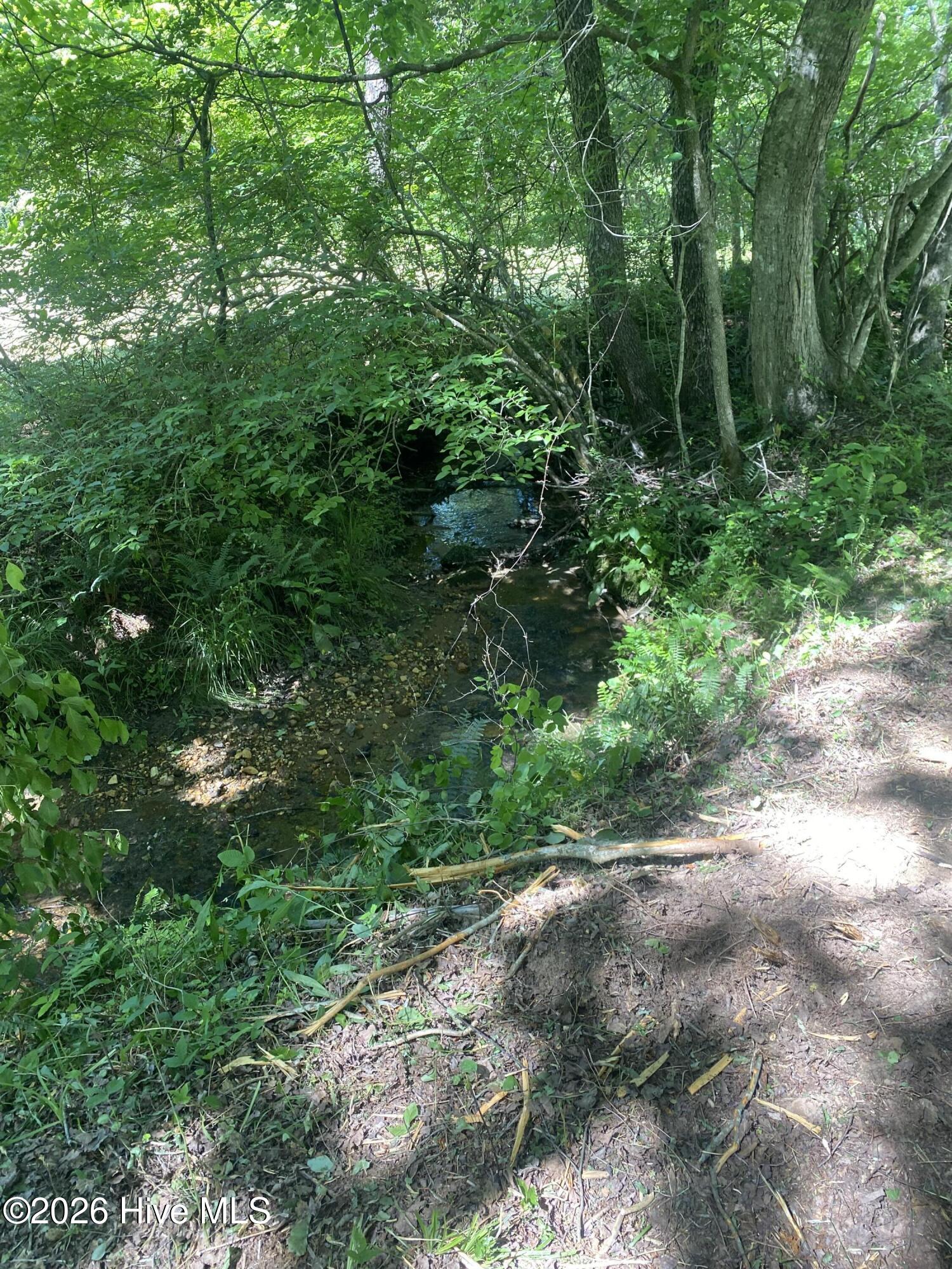 Lot 7 Running Bear Road Property Photo 7