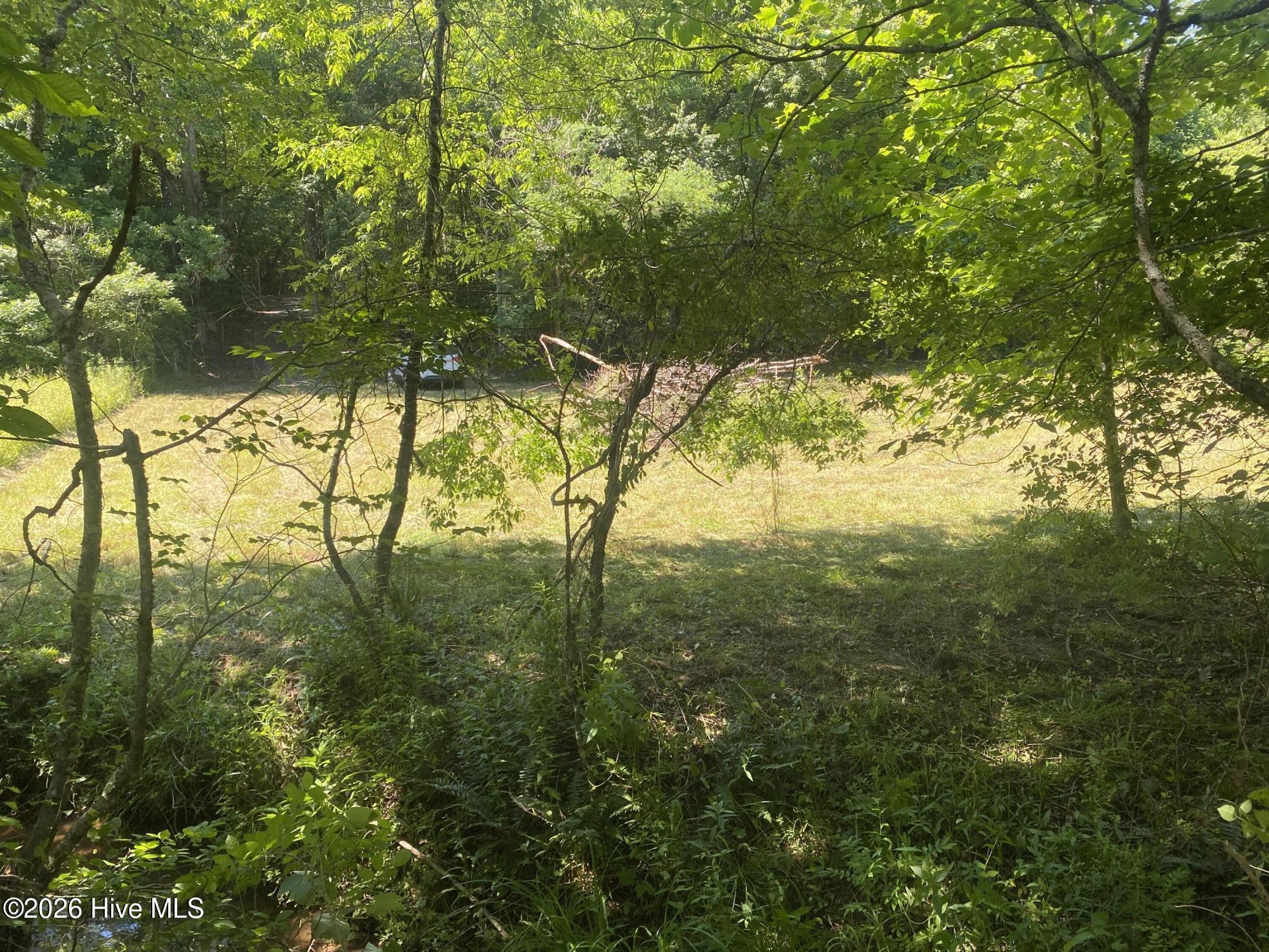 Lot 7 Running Bear Road Property Photo 9