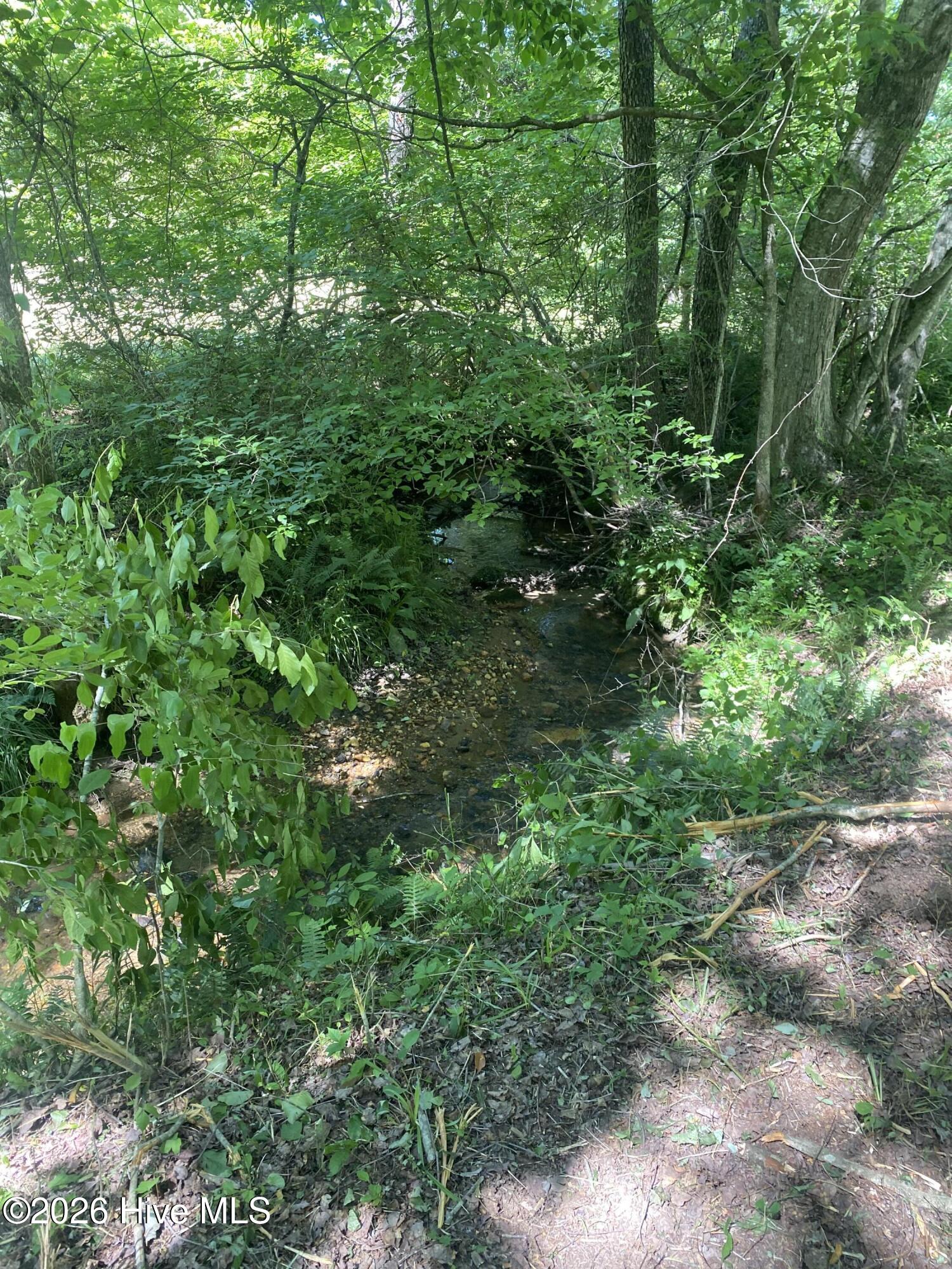 Lot 7 Running Bear Road Property Photo 10