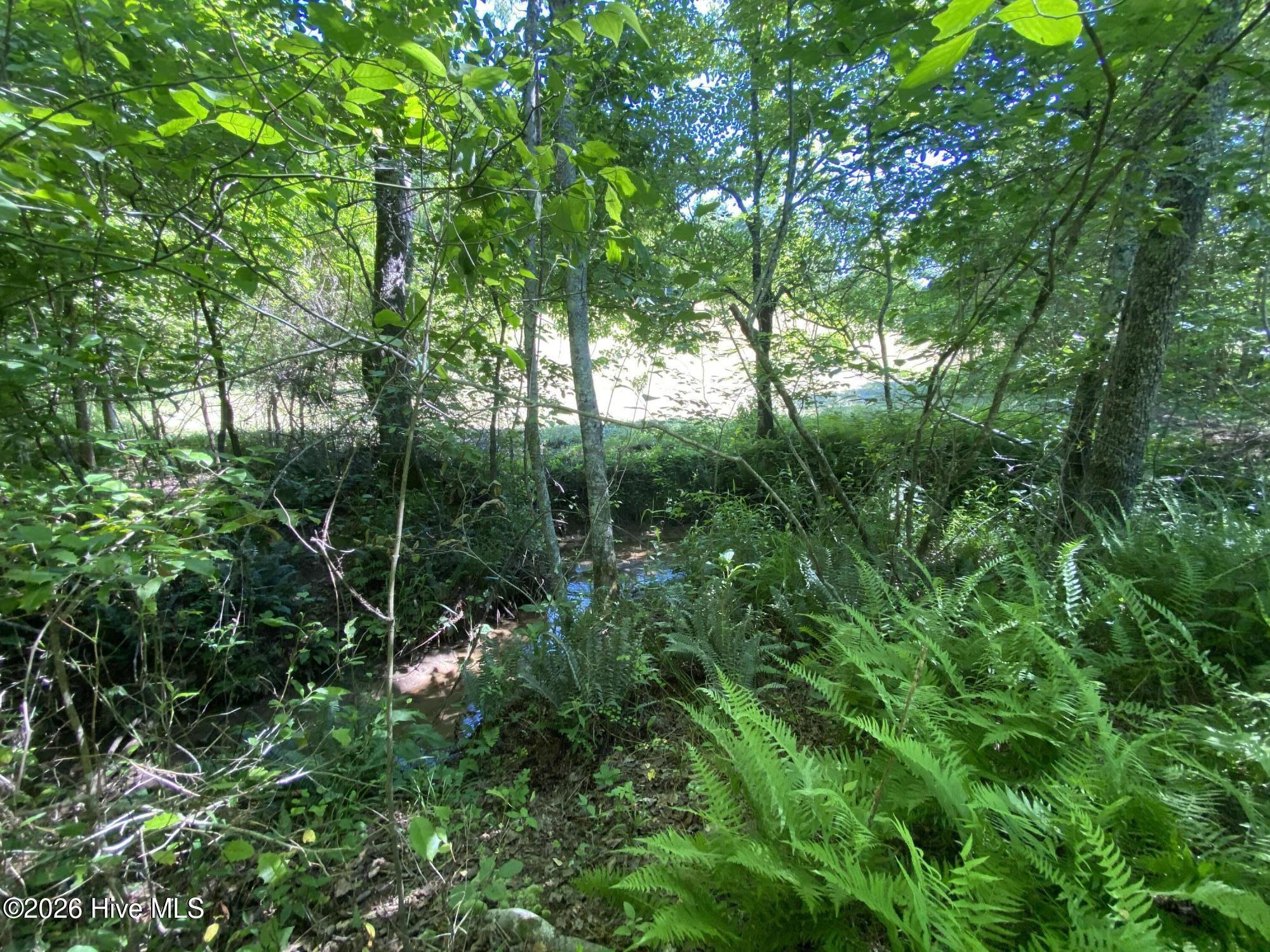 Lot 7 Running Bear Road Property Photo 14