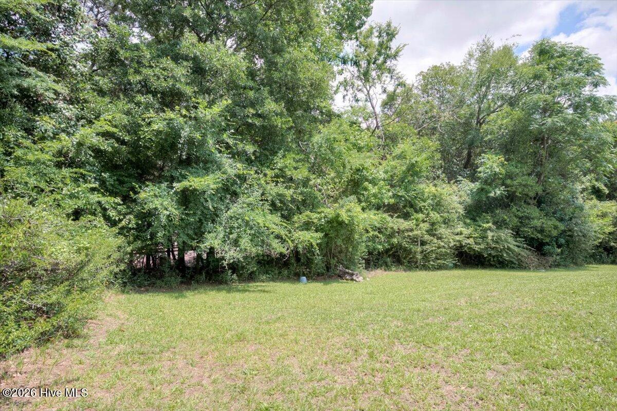 429 Evans Mill Drive A & B Property Photo 20