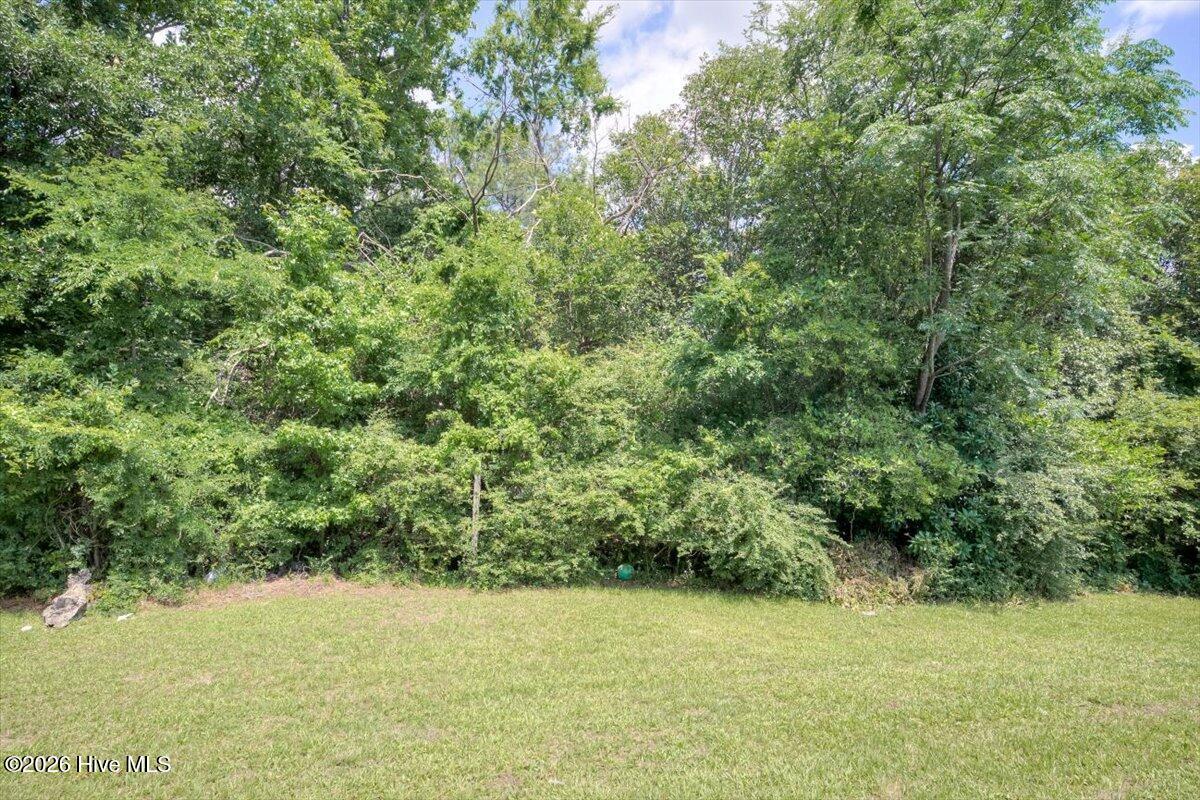 429 Evans Mill Drive A & B Property Photo 23