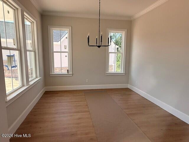 806 Nuttall Street Property Photo 4