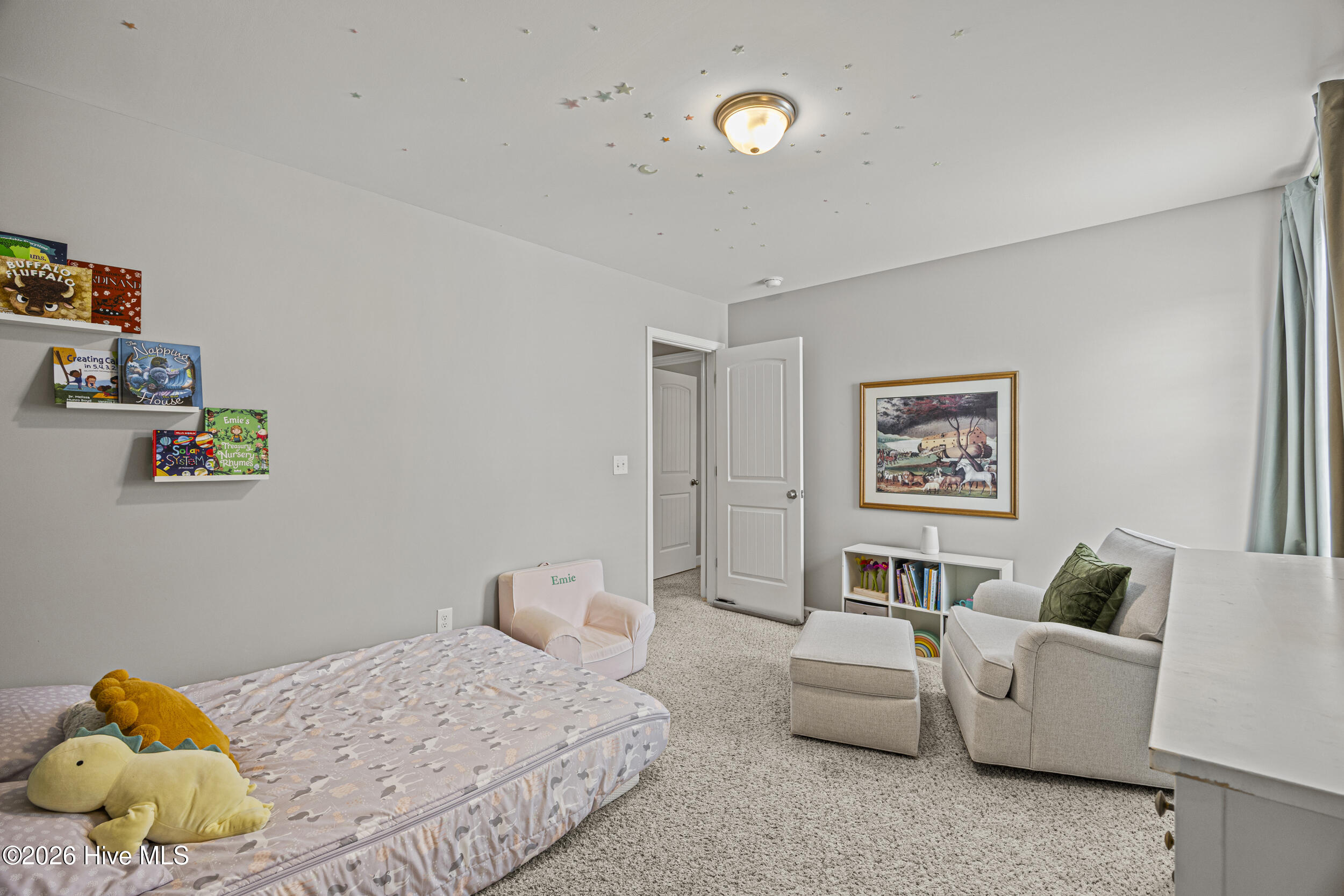 131 Poplar Branch Way Property Photo 33