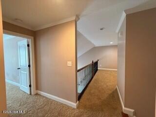 817 Mayo Lane Property Photo 9