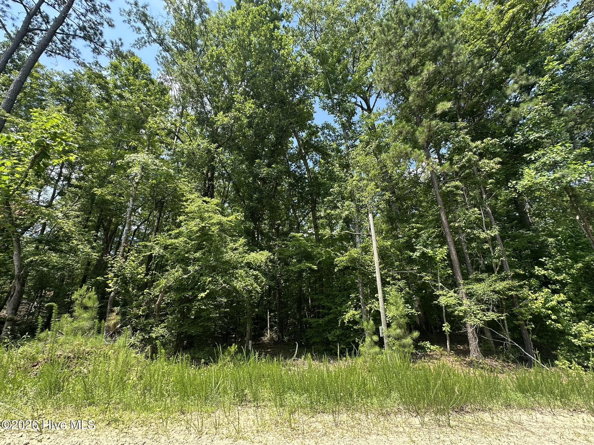 Lot 17 Lakeshore Estates Drive Property Photo 1
