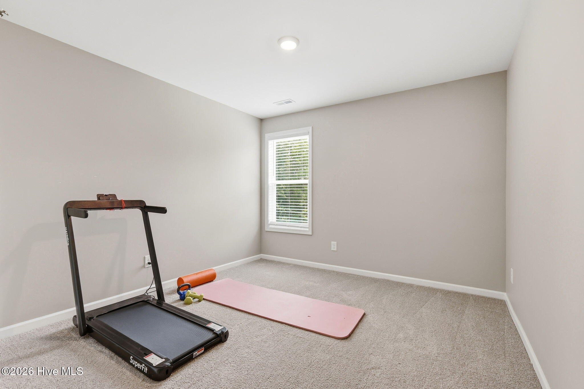 218 Woodsrun Street Property Photo 25
