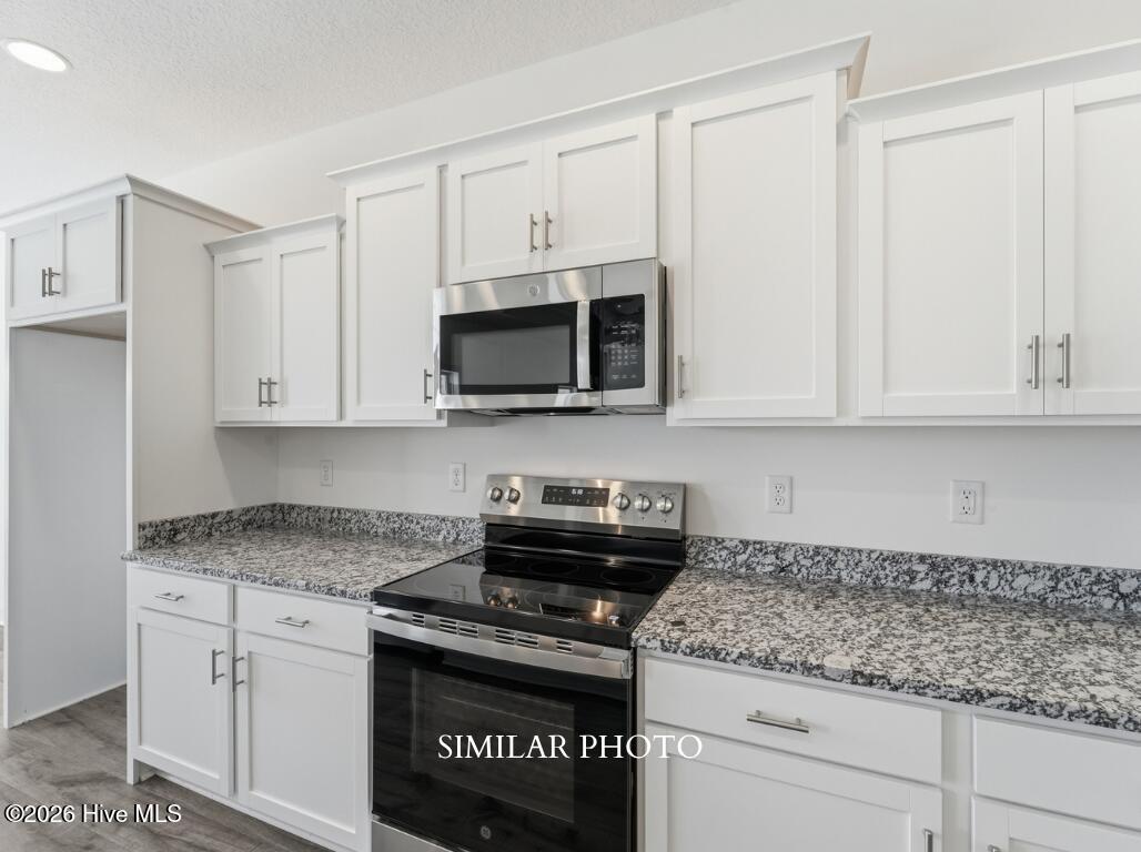 733 Atlantic Coast Lane Property Photo 14