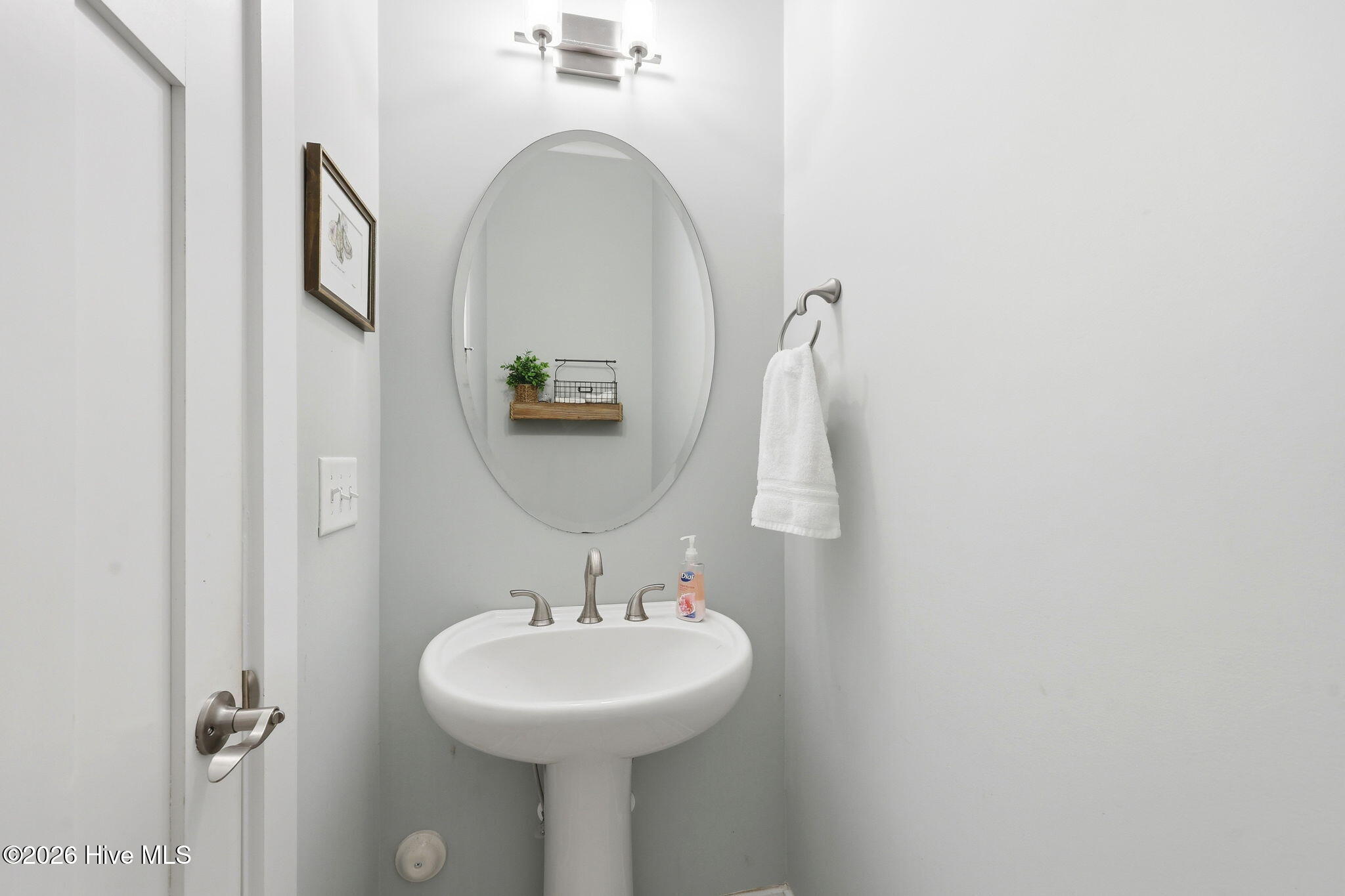 209 Bogue Carrier Court Property Photo 16
