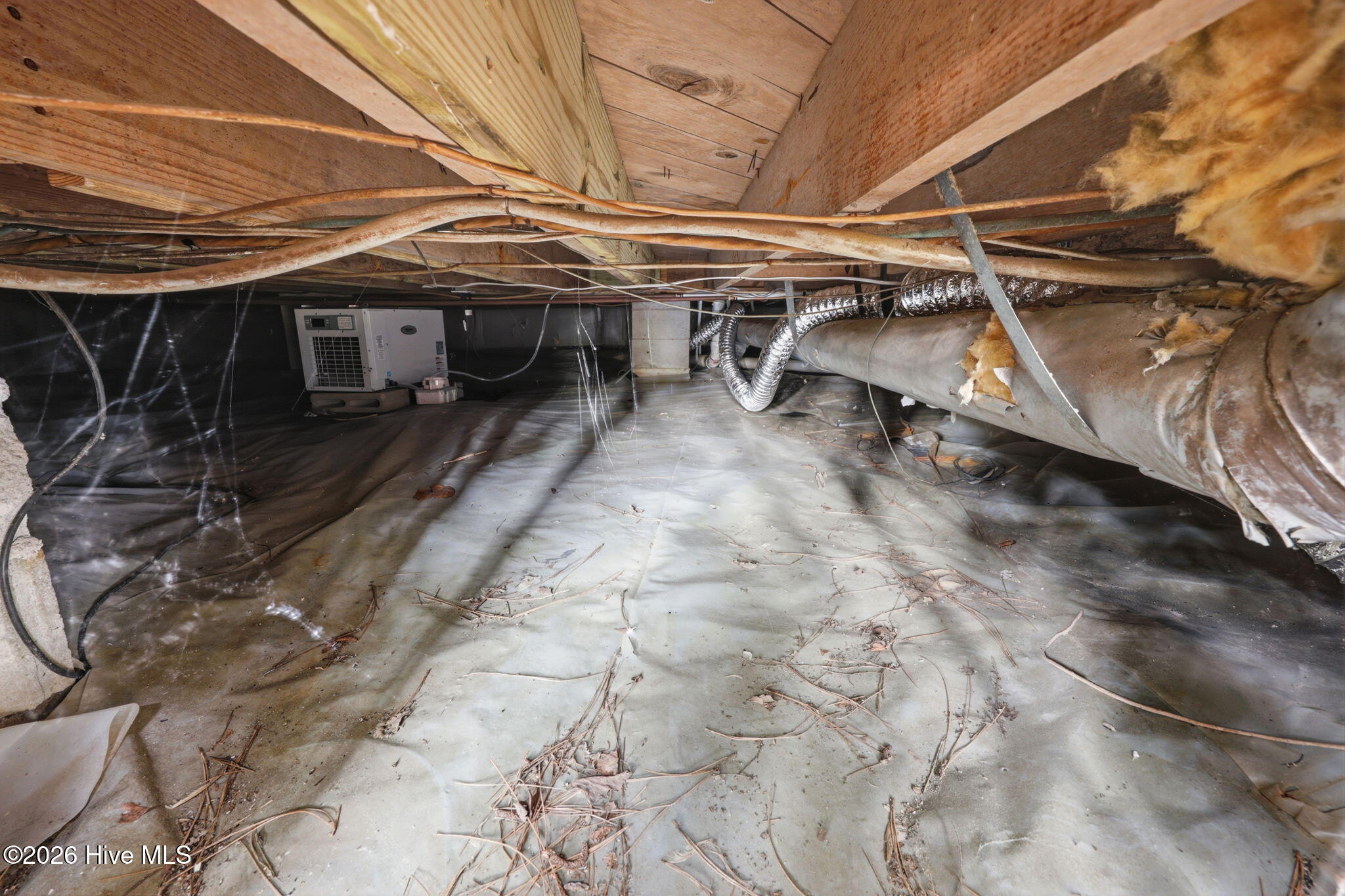 1205 W Highland Avenue Property Photo 14