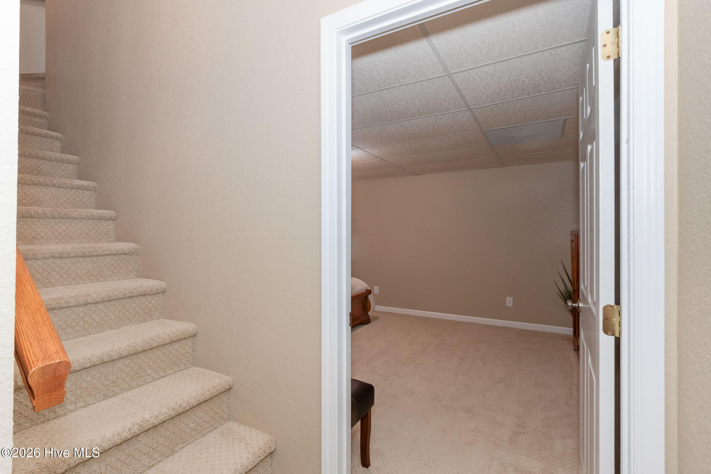 185 Lunsford Road Property Photo 82