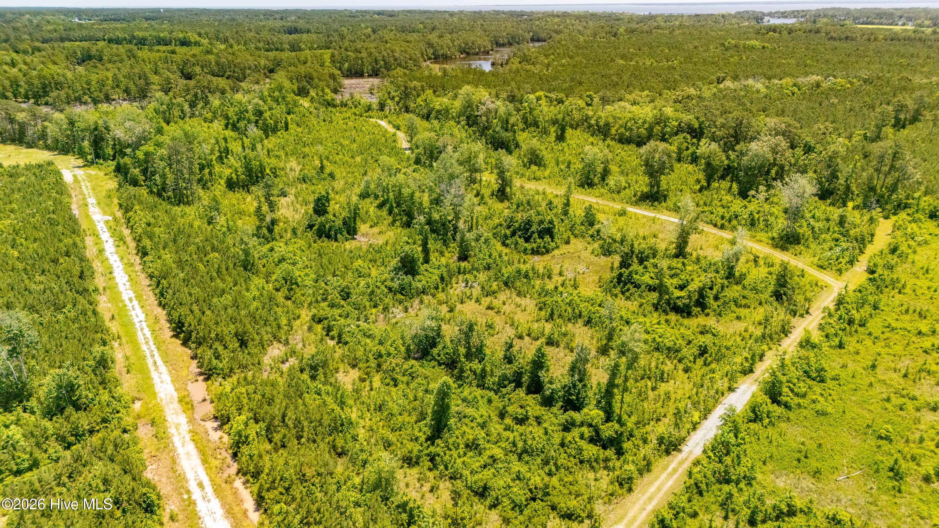 Tract1 & 2 Kershaw Road Property Photo 13