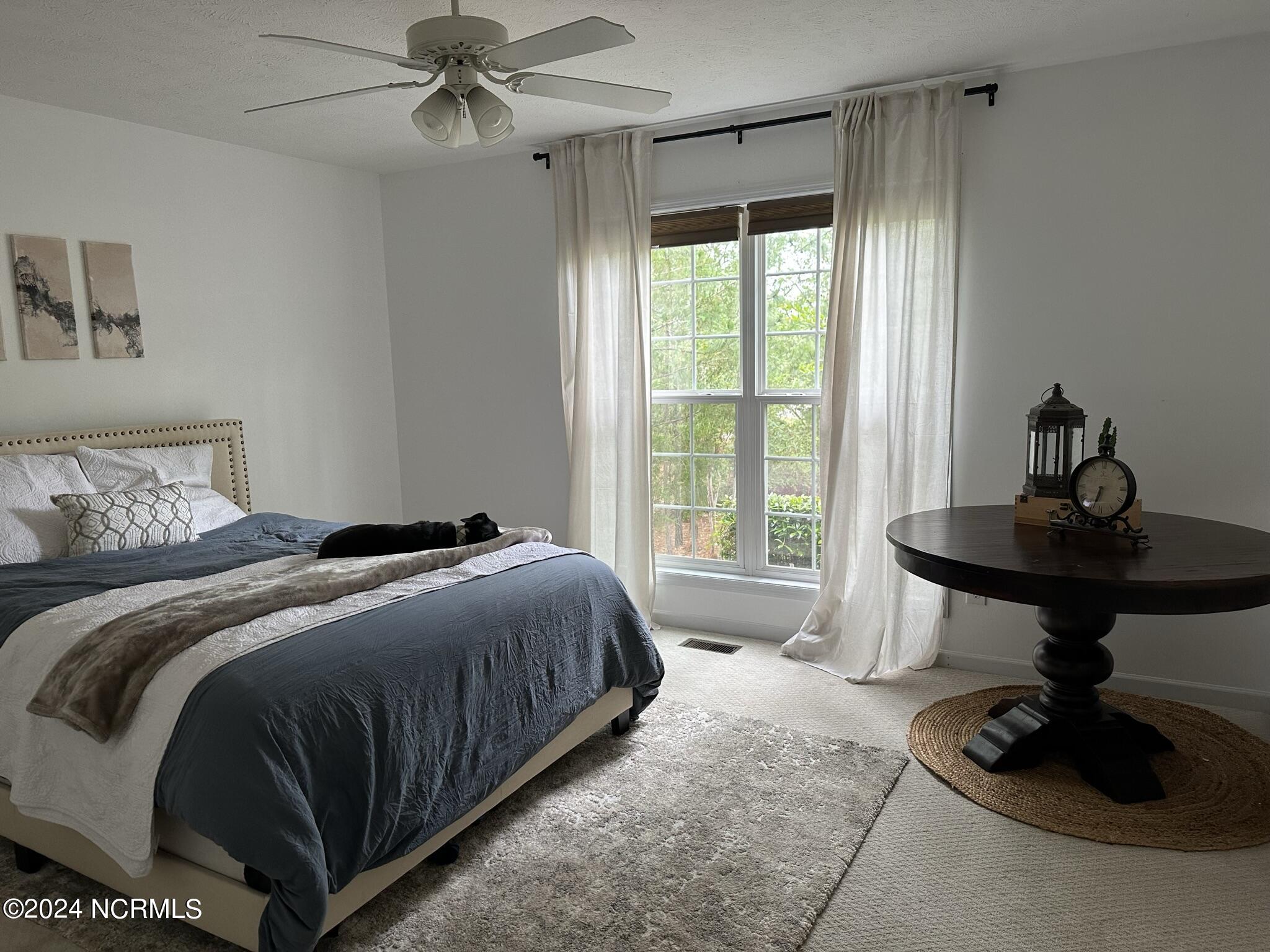 125 Sakonnet Trail Property Photo 18