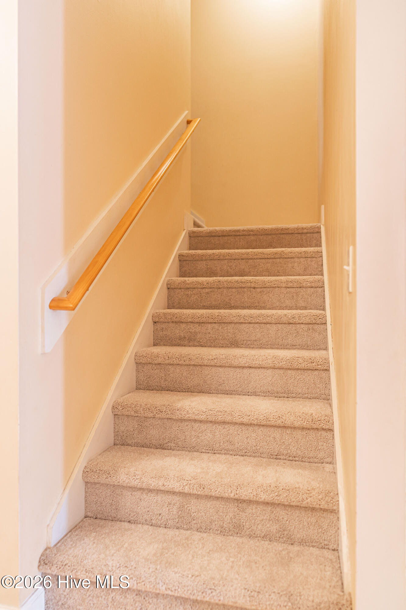 7 Shamrock Way Property Photo 38