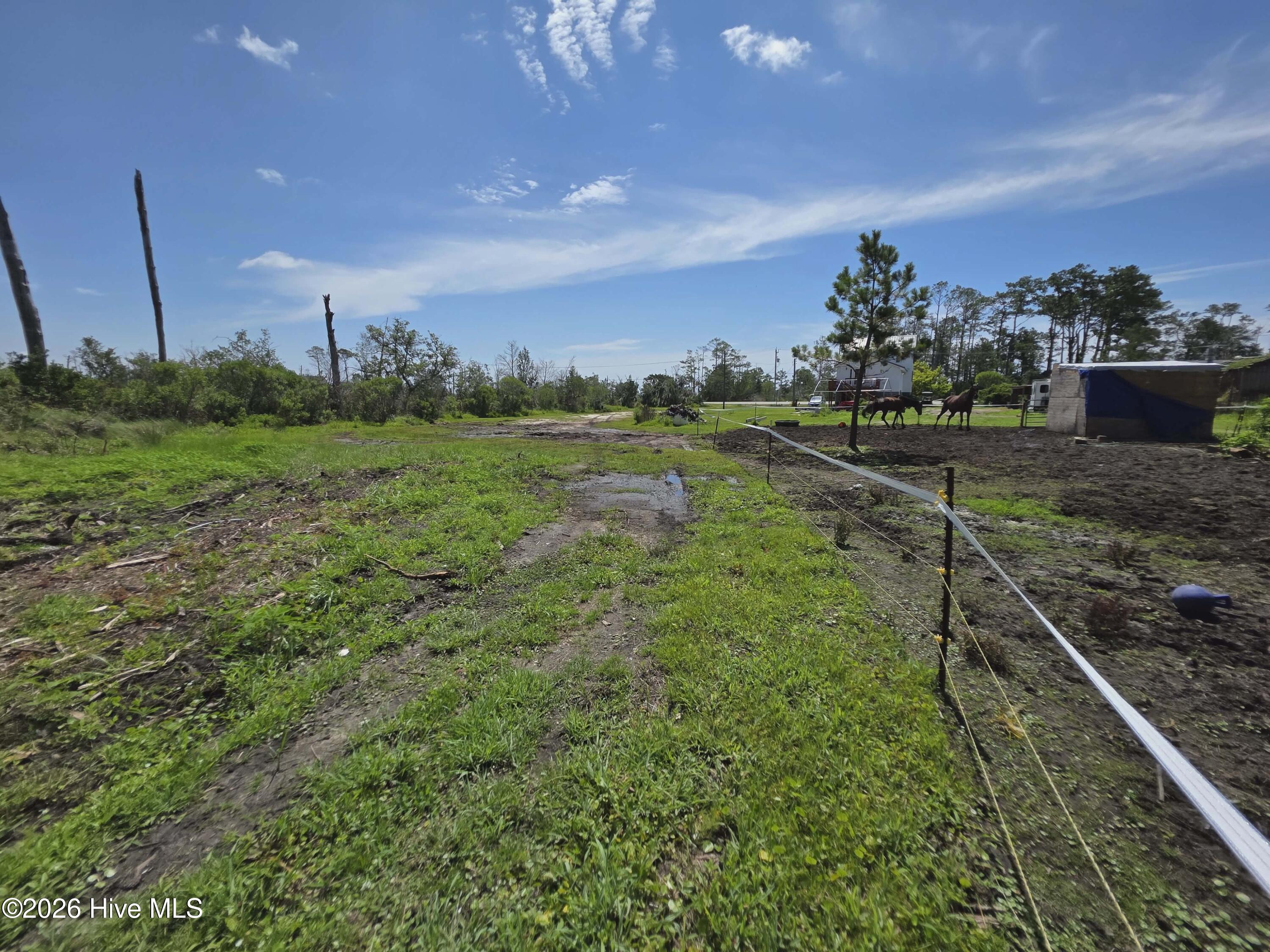 1063 Highway 70 Property Photo 11